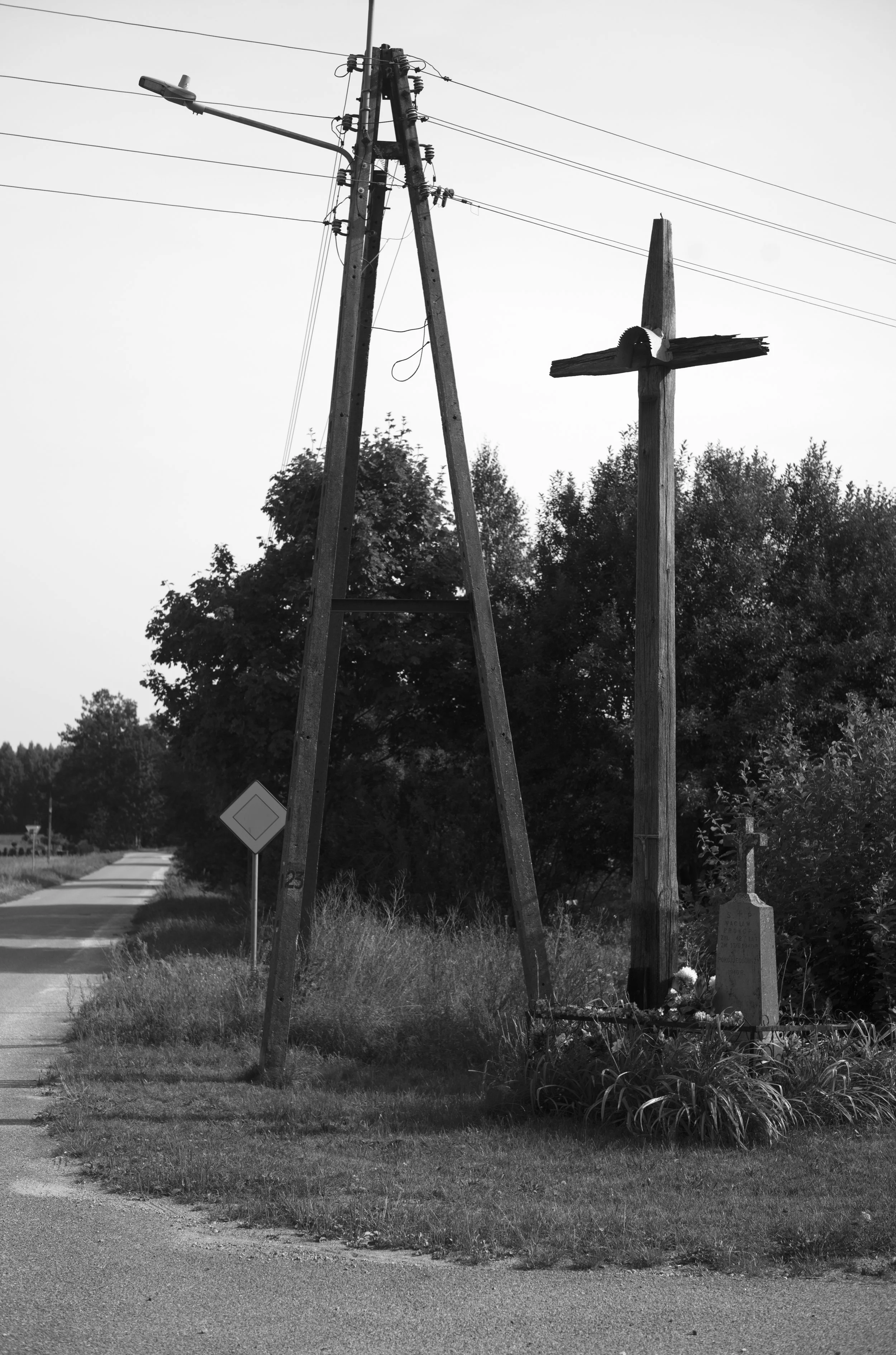 2L1008461_cp_l.jpg