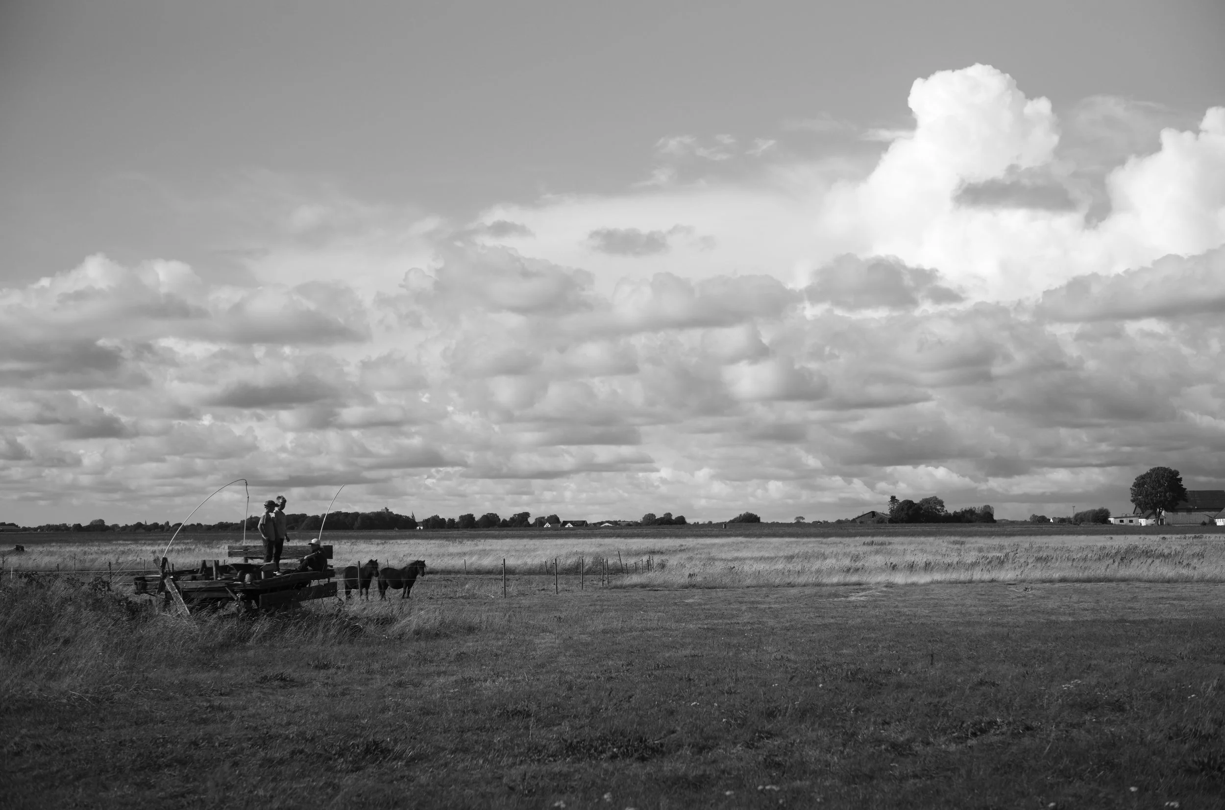 2L1008754_cp_l.jpg