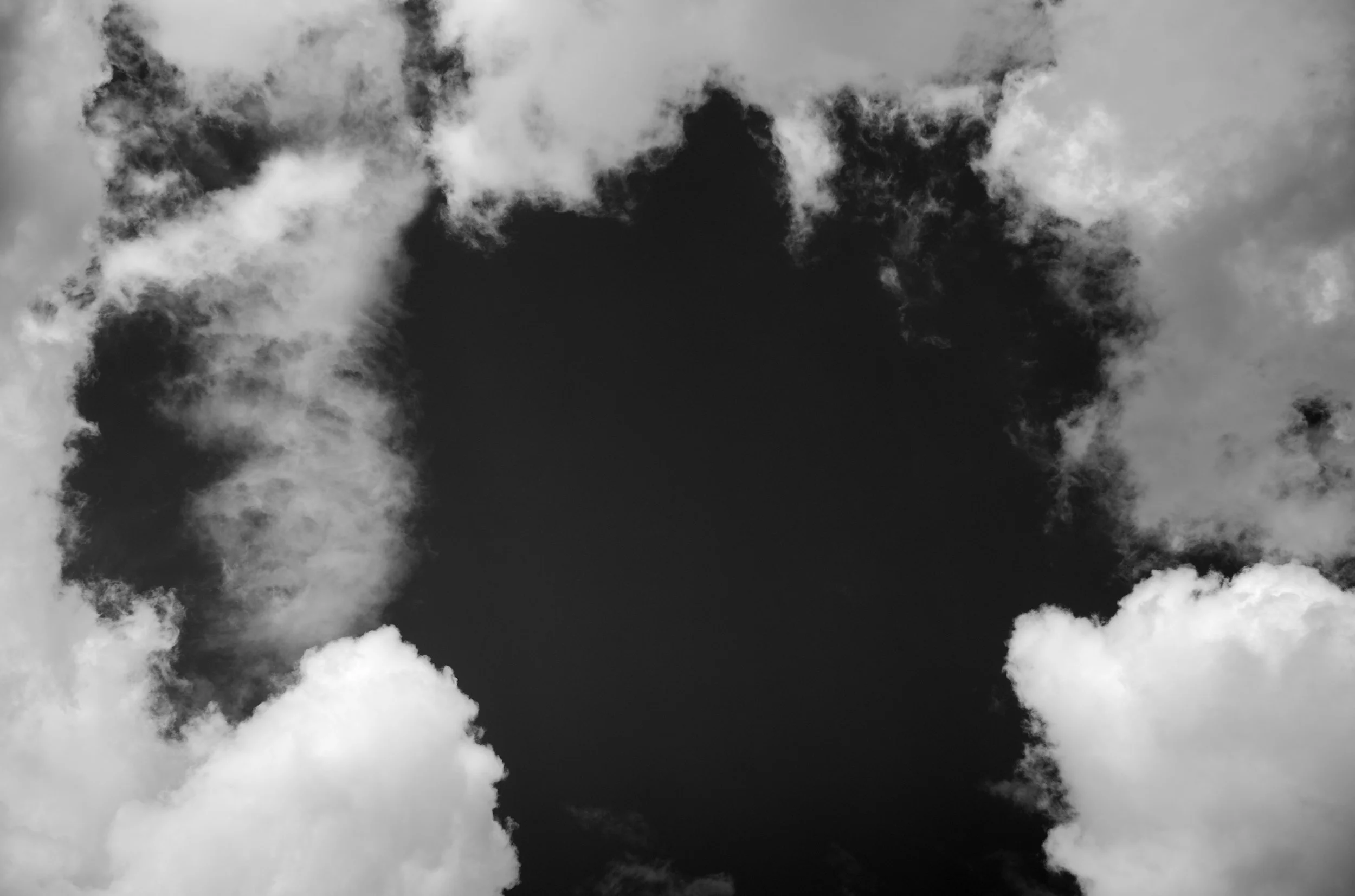 2L1008807_cp_l.jpg
