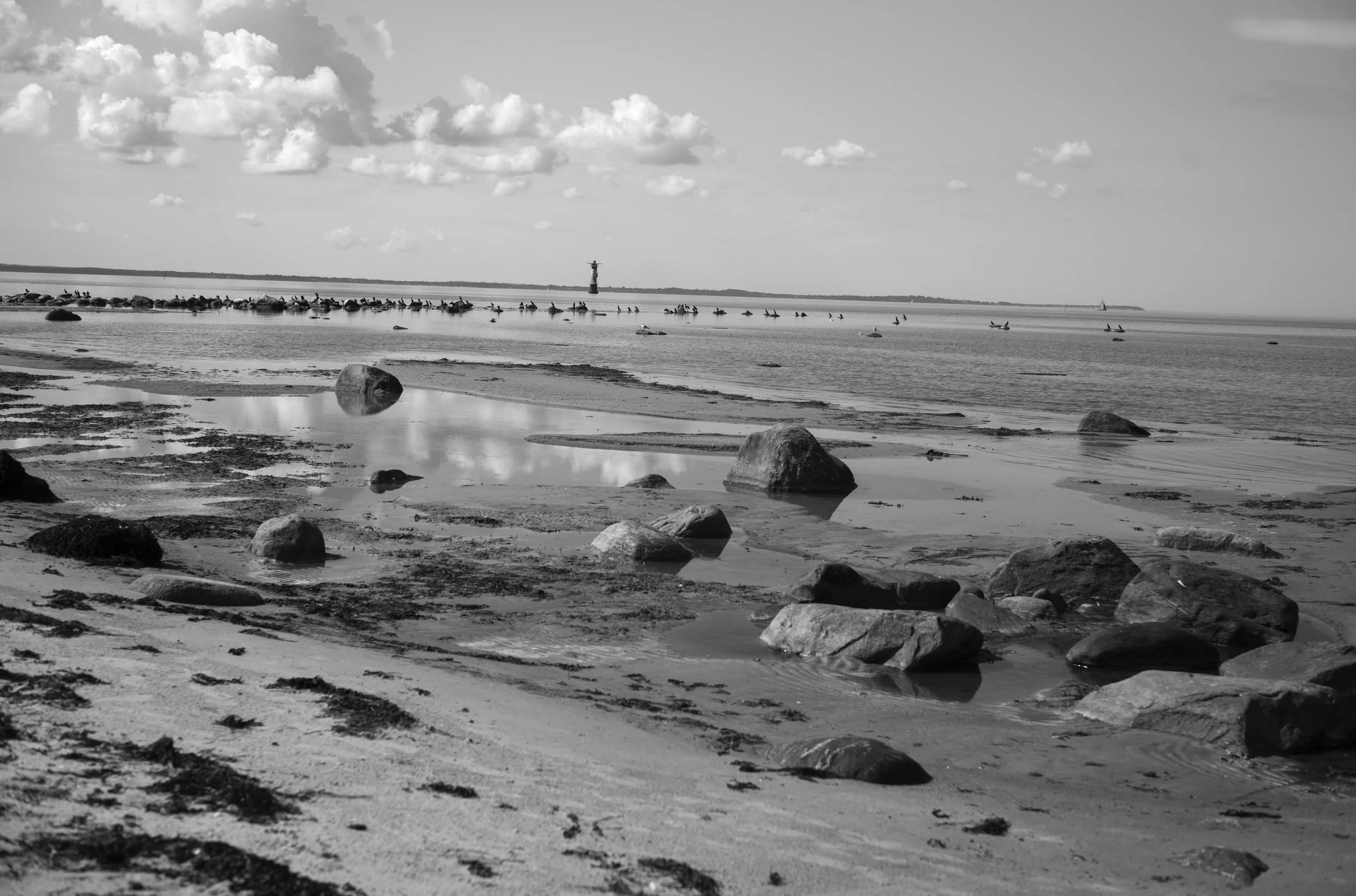 2L1008856_cp_l.jpg