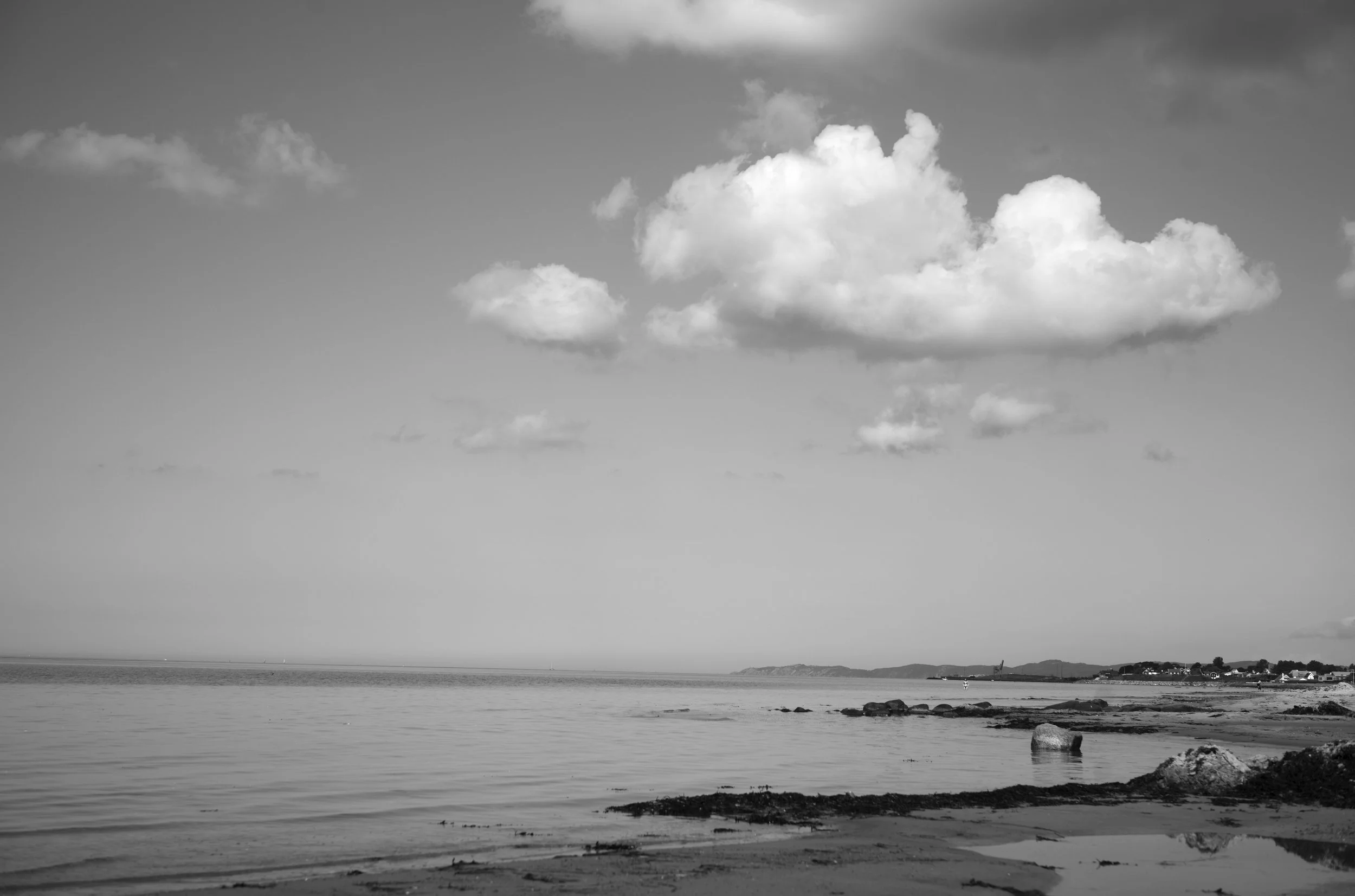 2L1008859_cp_l.jpg