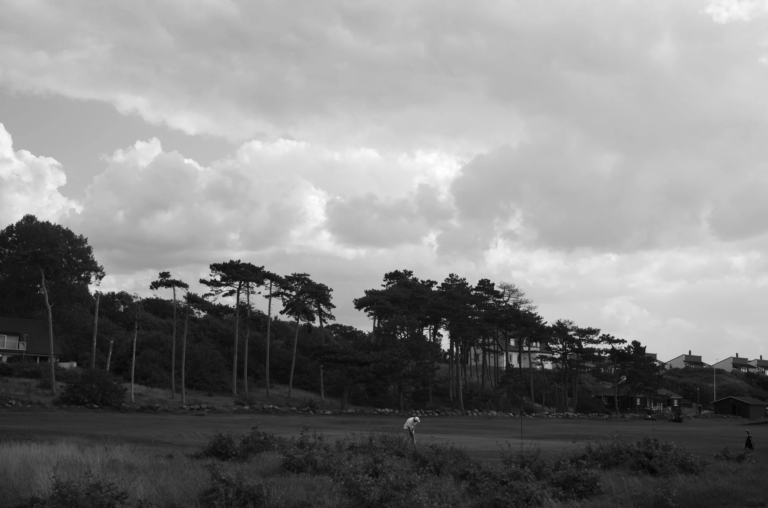 2L1008864_cp_l.jpg