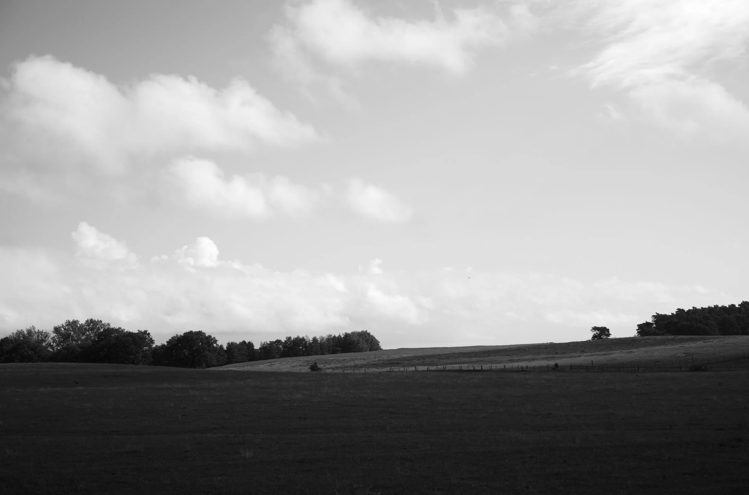 2L1008873_cp_l.jpg