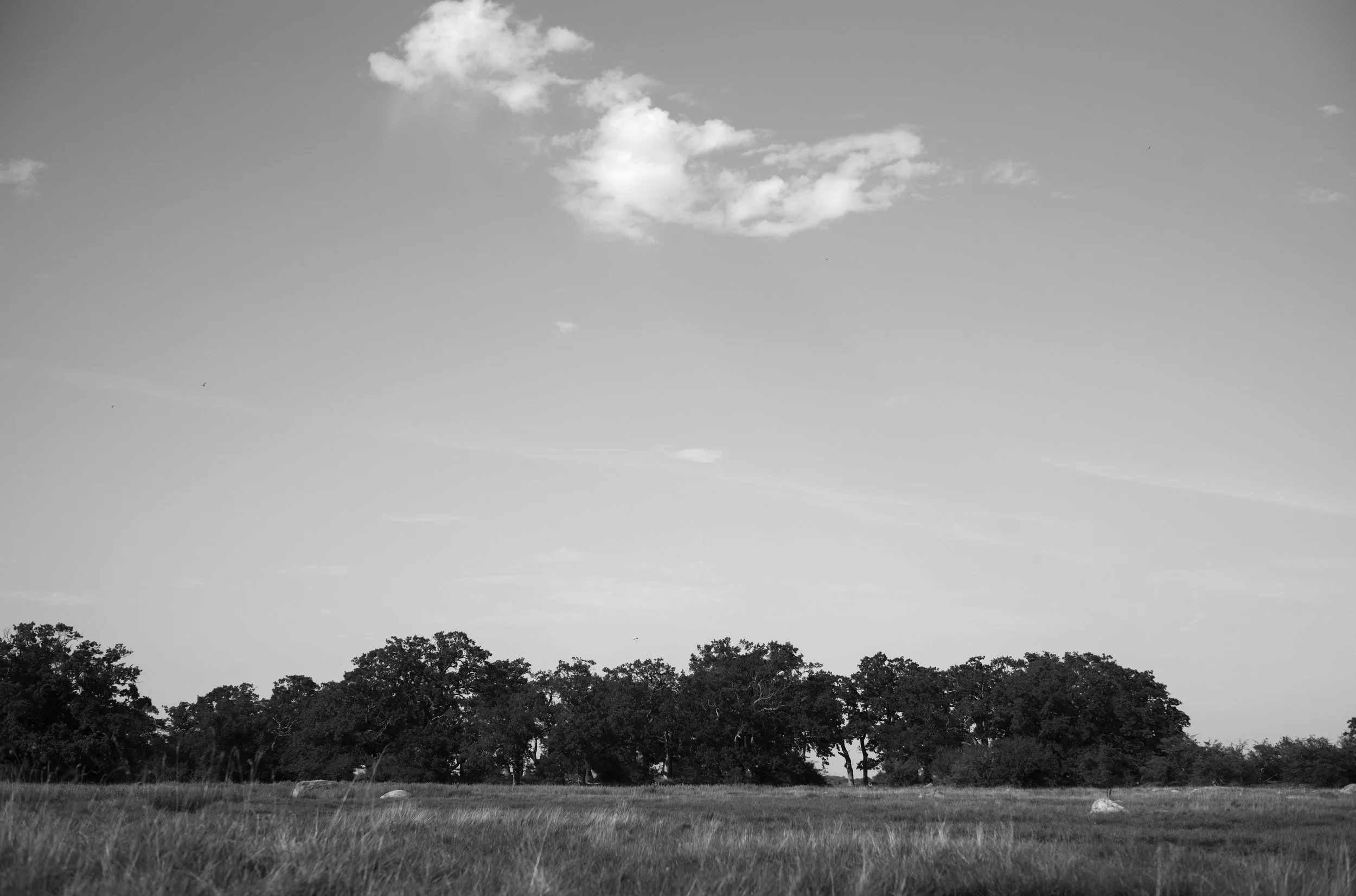 2L1008202_cp_l.jpg