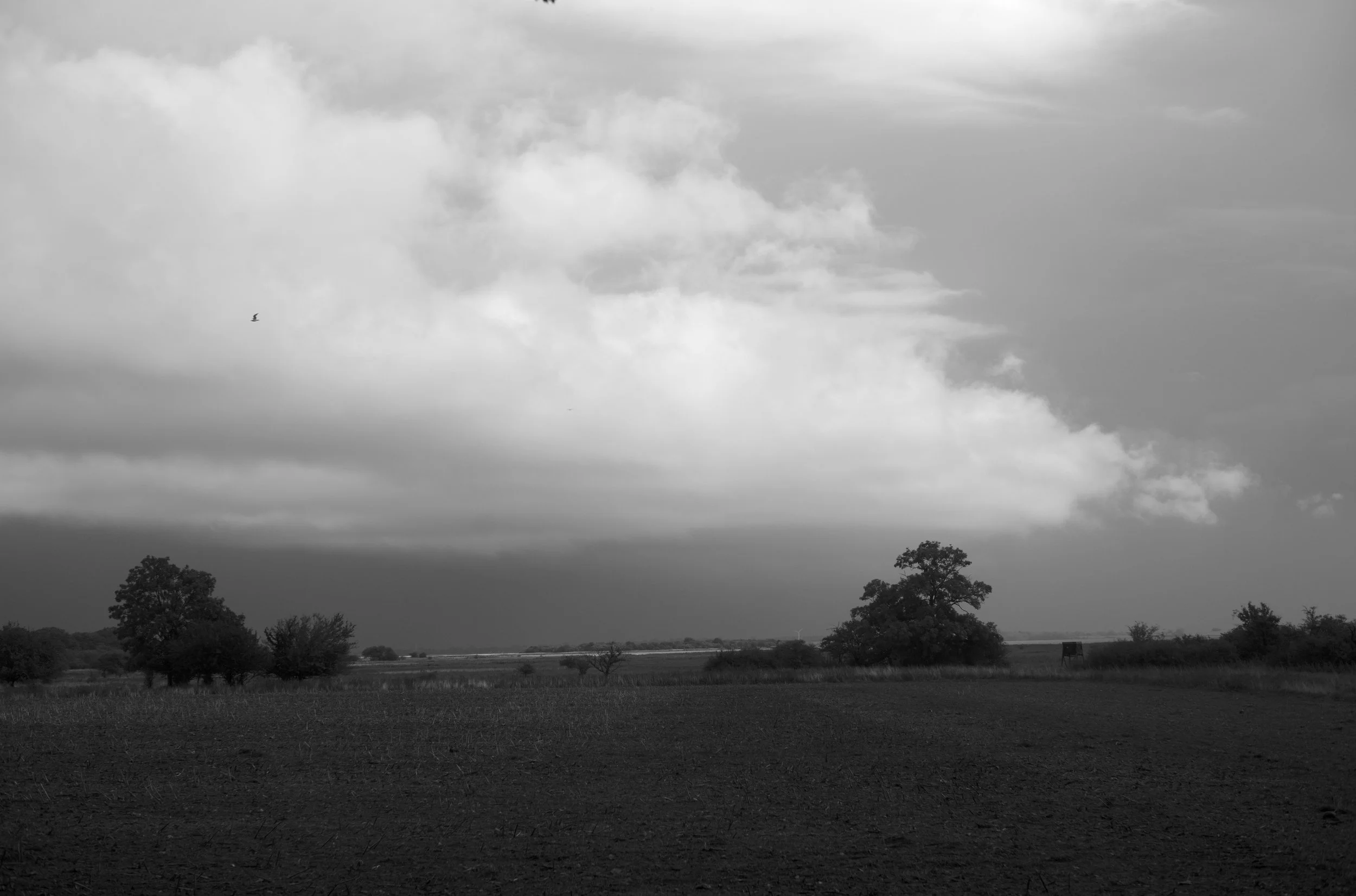 2L1008965_cp_l.jpg