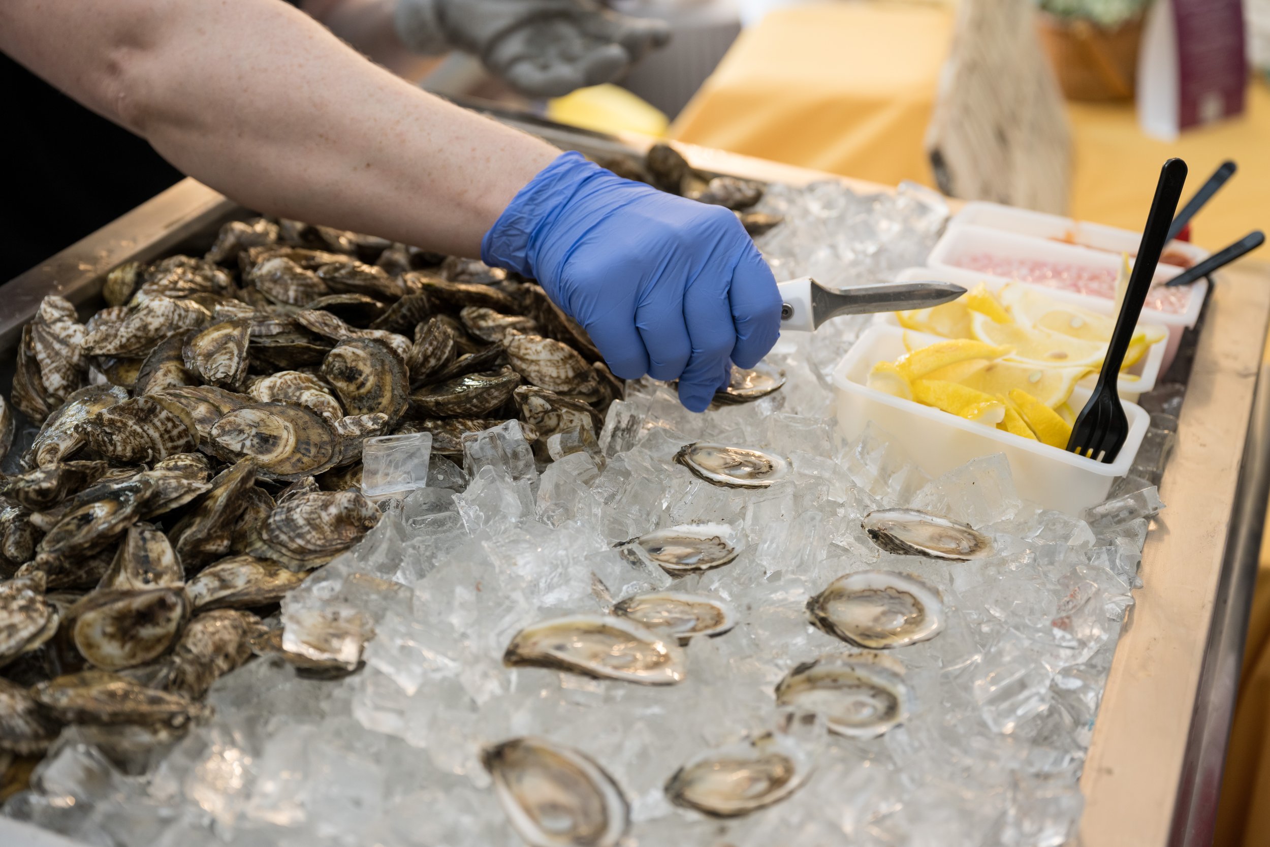 Aquidneck Oysters - 2023 Summer Bounty - By Gwen Kidera_16.jpg