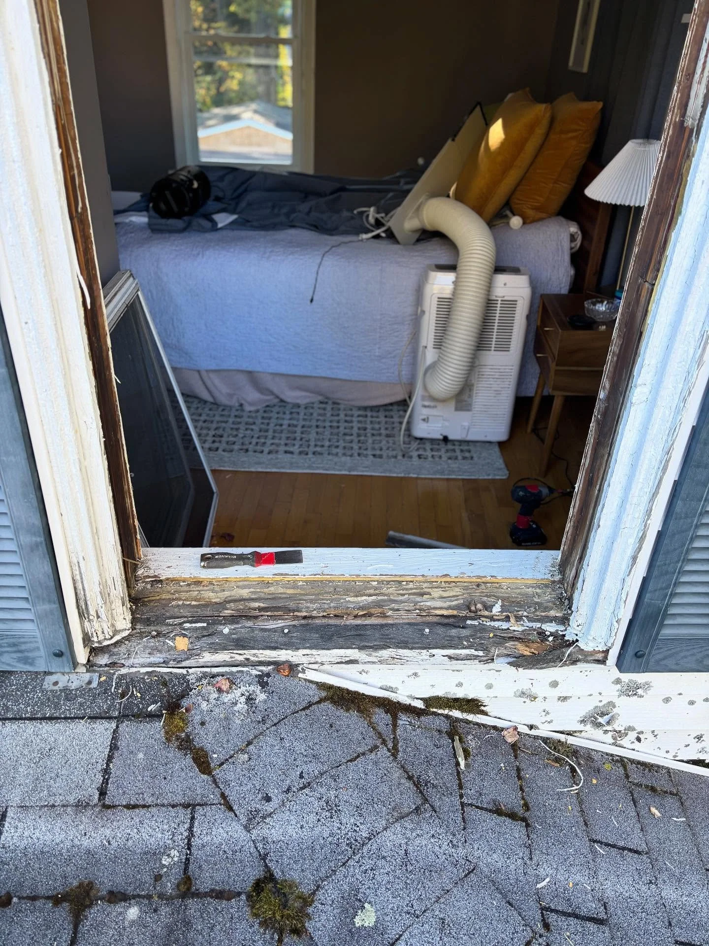 GOT ROT? Regal has you covered!