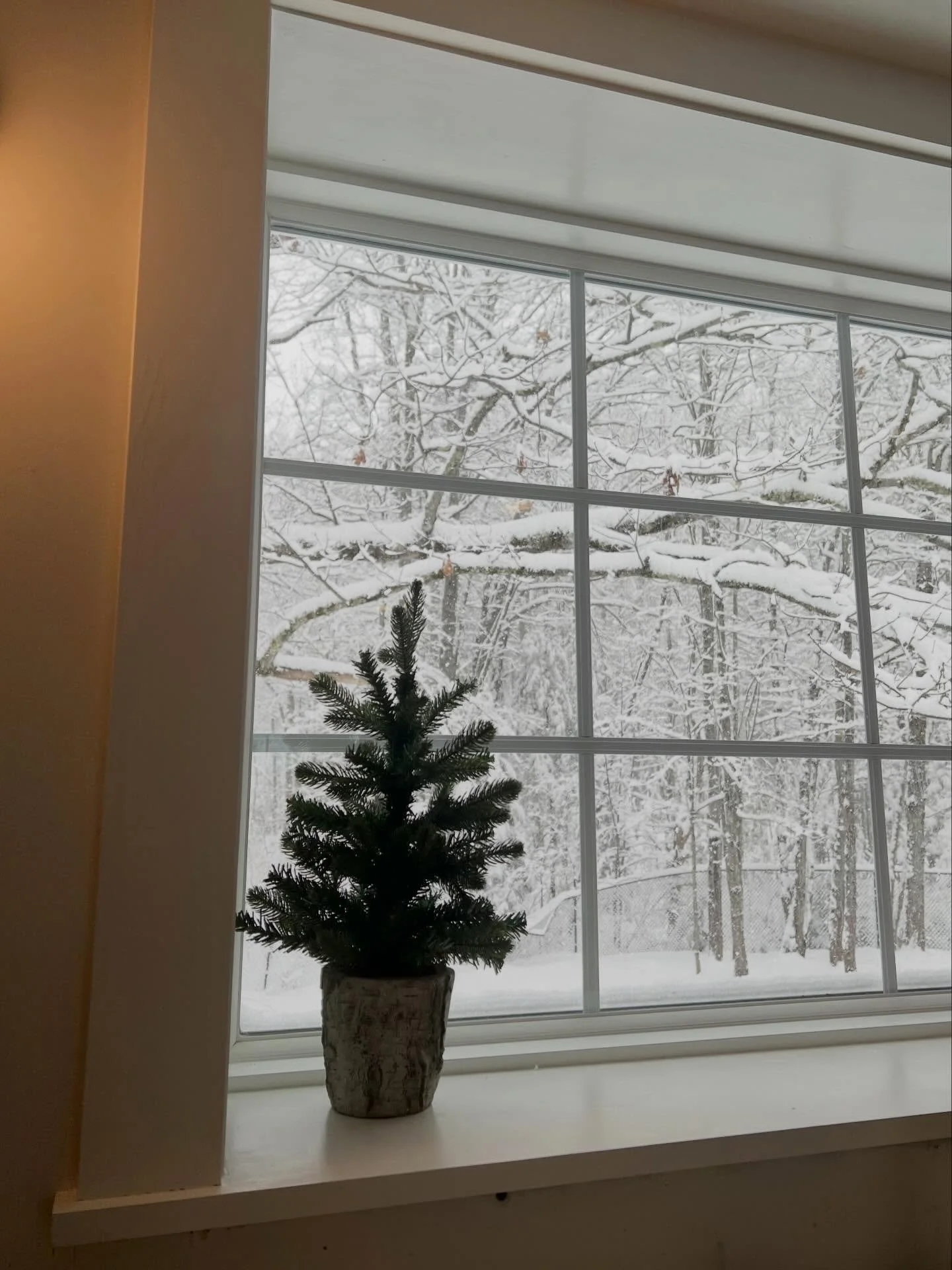 Christmas Eve views! Beautiful @paradigm.windows picture window!