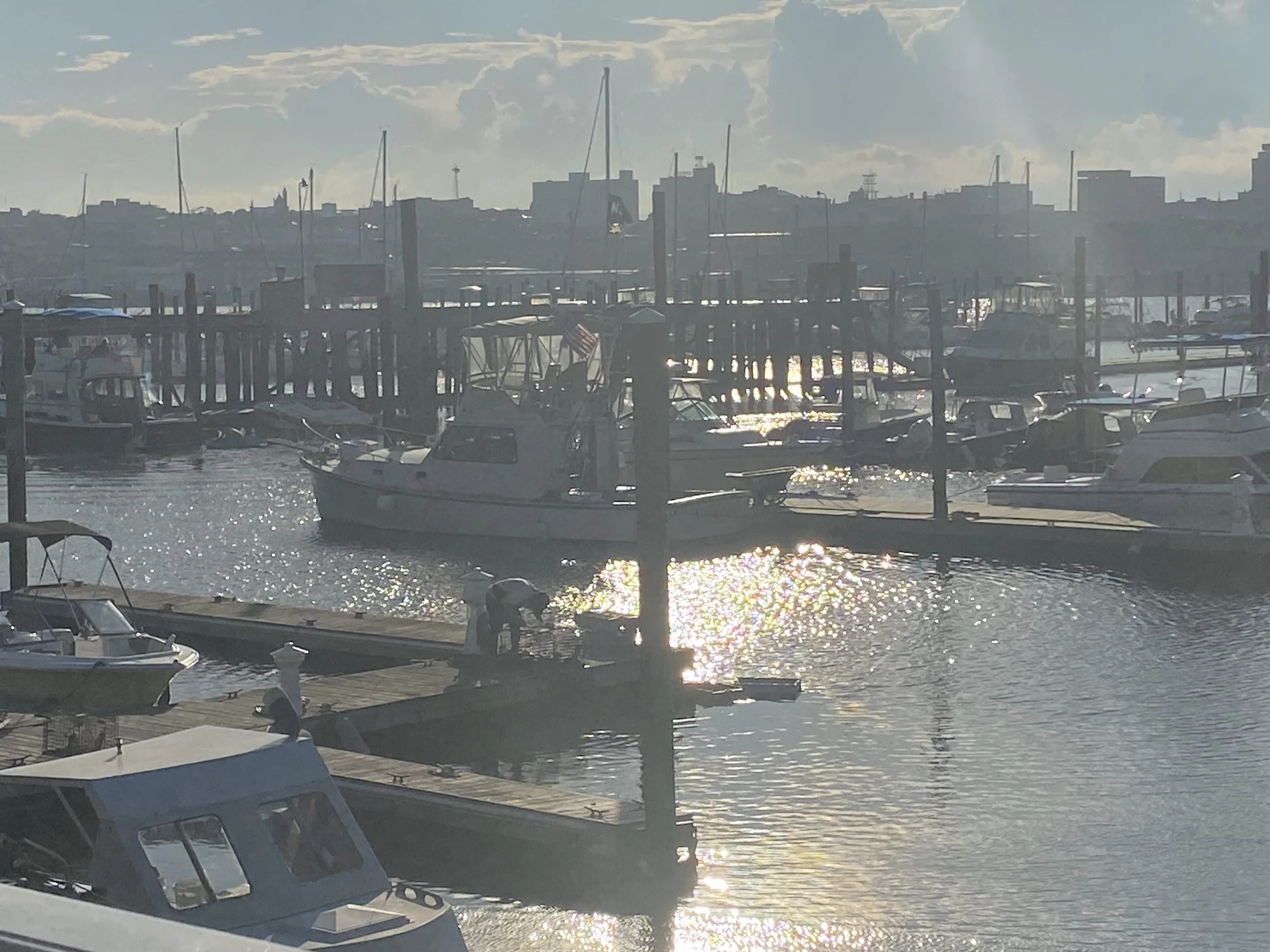 IMG_3961.jpeg