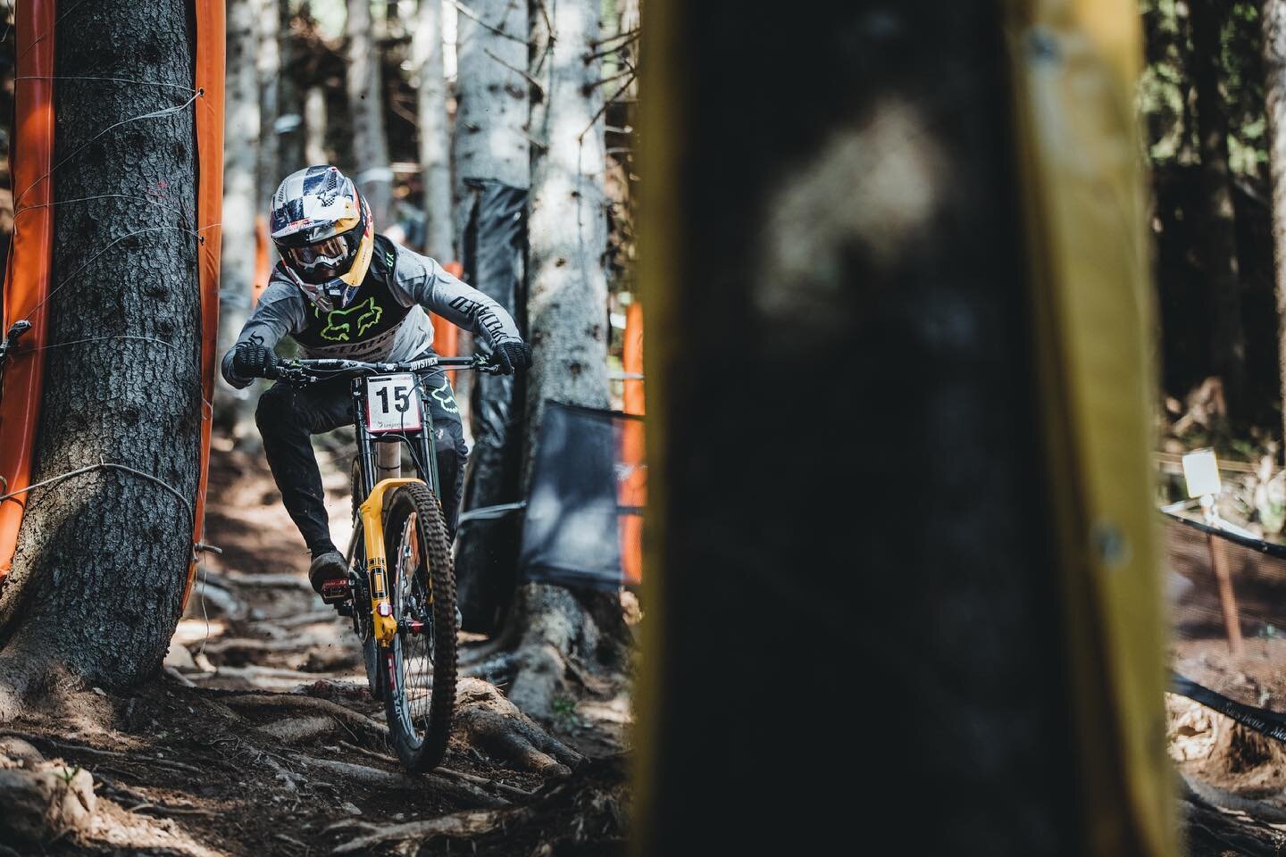 Threading the needle through the Swiss Forest // @finniles 

⁠
#dhmtb #downhillmtb #downhill #mountainbikes #ucidownhill #mtb #bike