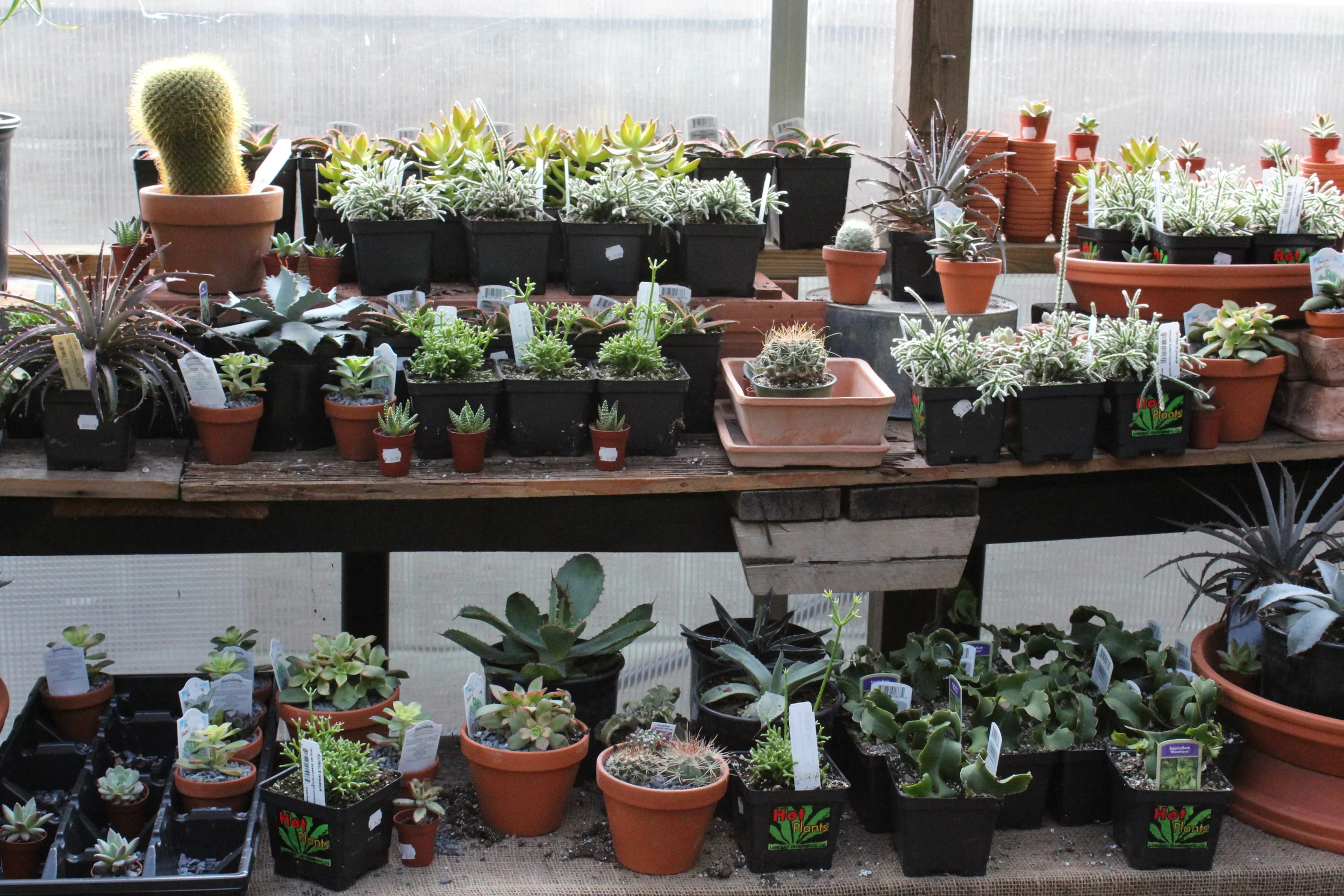 In-Stock At The Garden Center — Crest Hardware - True Value