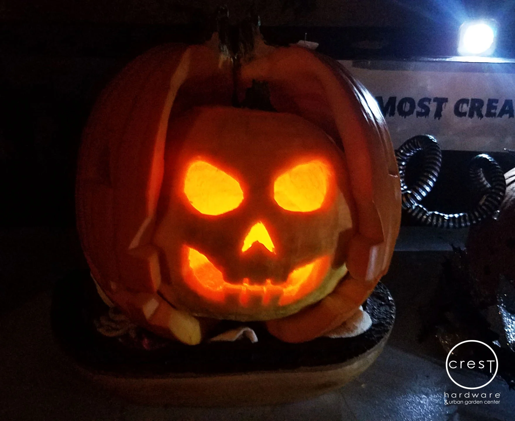 PUMPKIN1.jpg