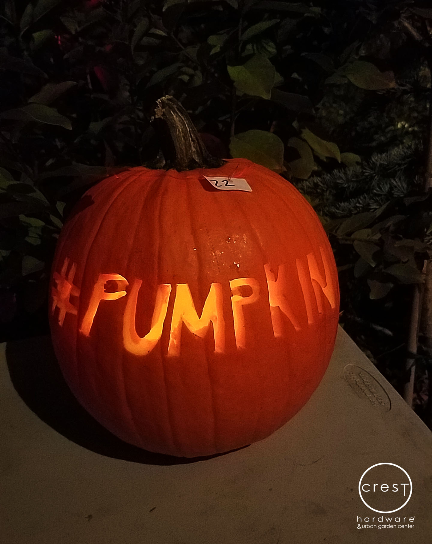 PUMPKIN5.jpg