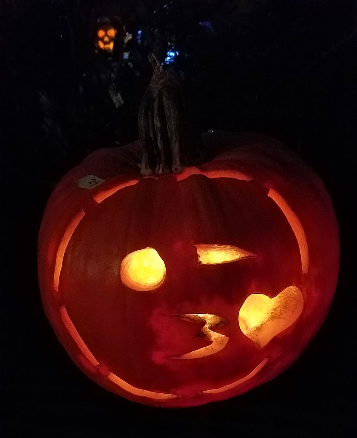 PUMPKIN7.jpg