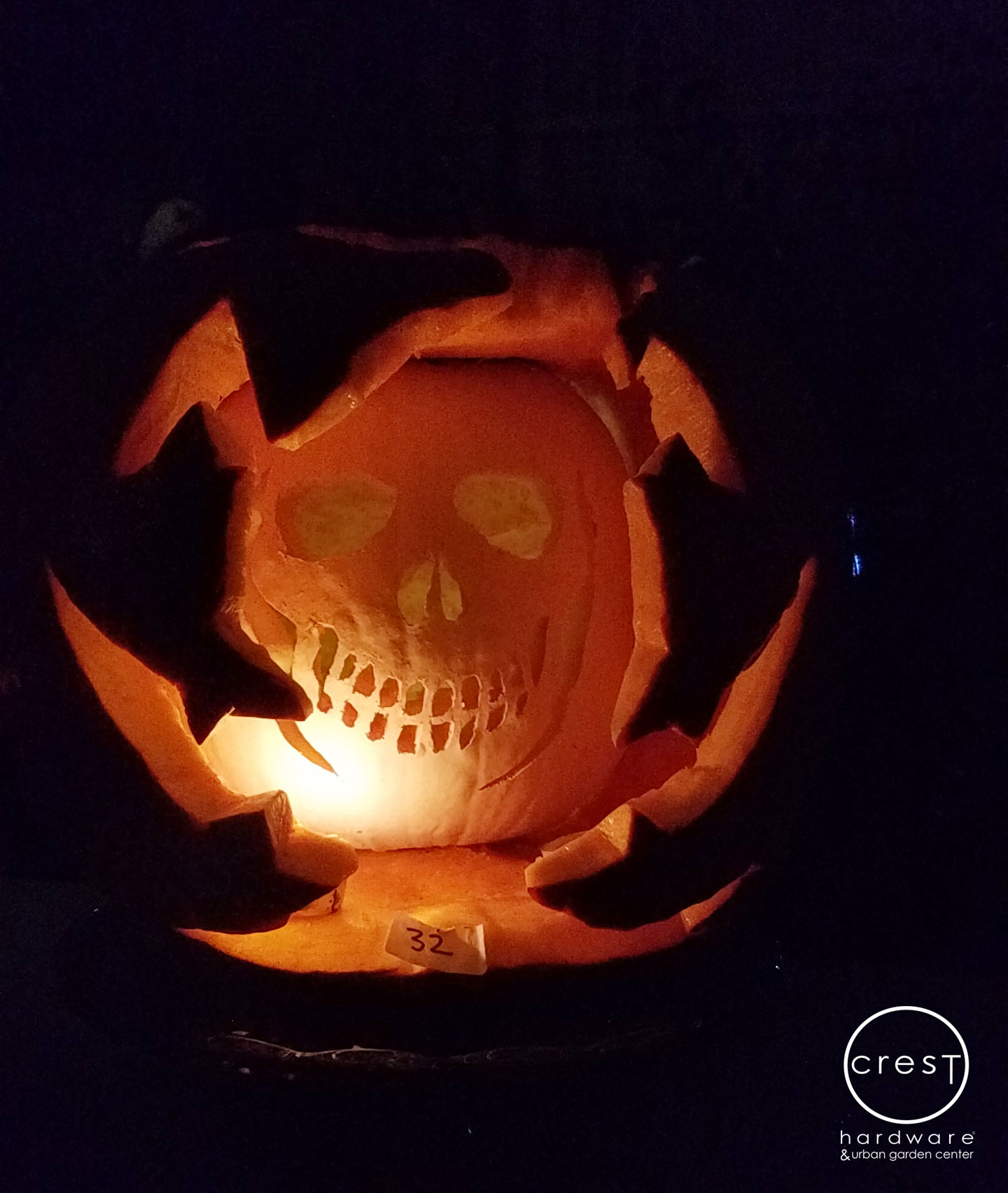 PUMPKIN8.jpg