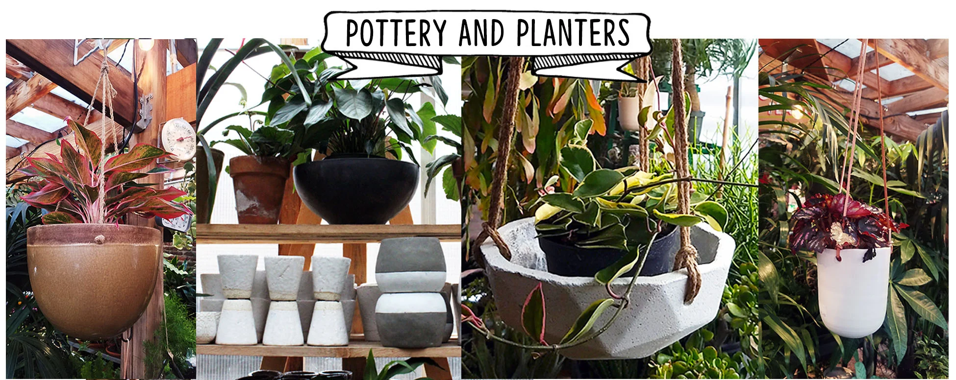pottery and planters website.jpg