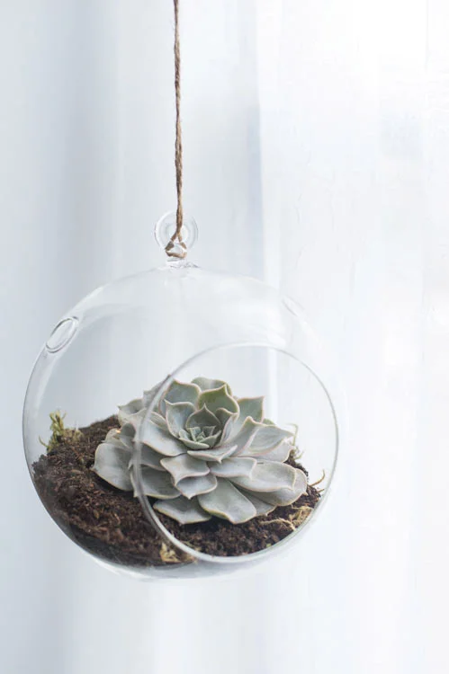 Round Hanging Terrariums