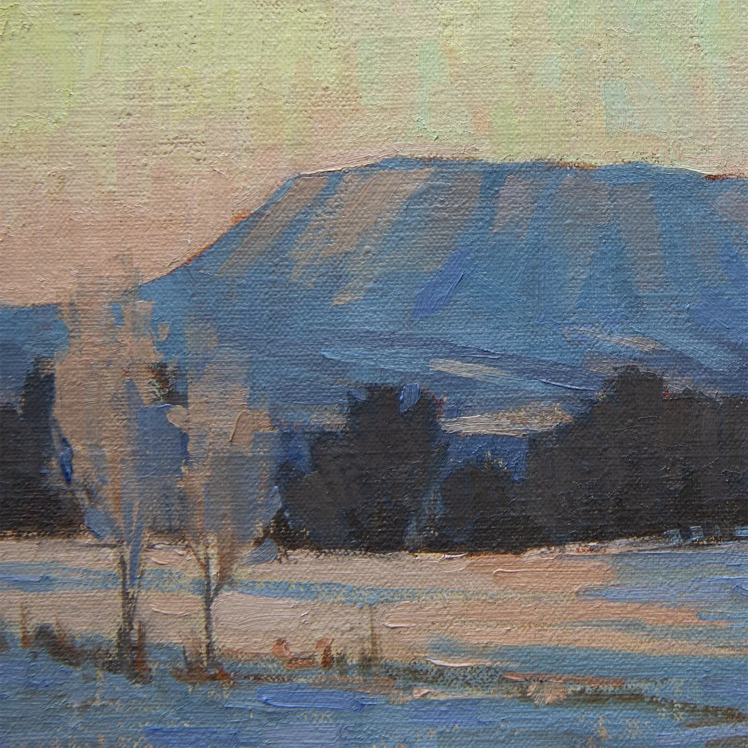 Mountain ViewThumb.jpg