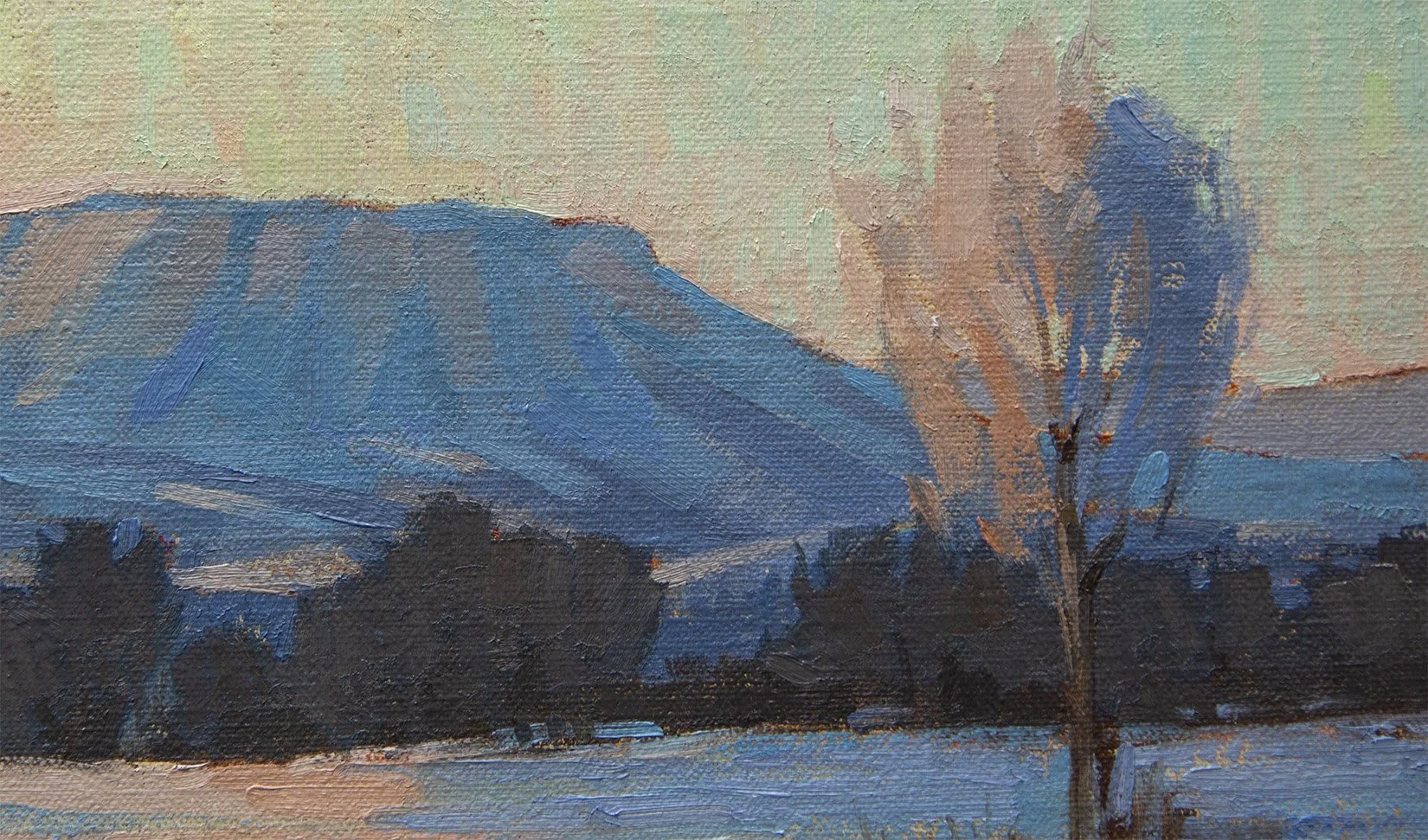 Mountain ViewDetail.jpg