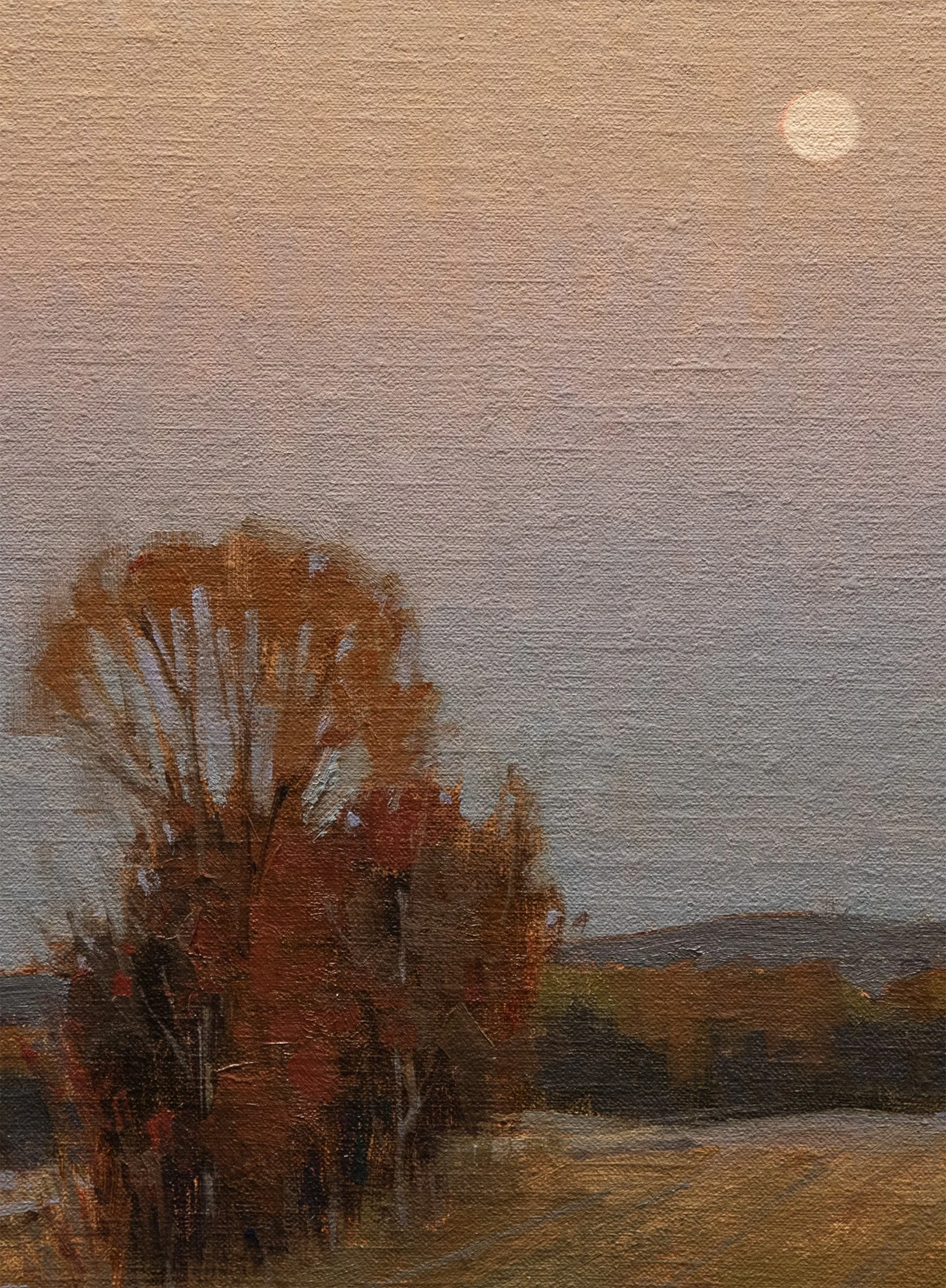 Moon StudyDetail.jpg