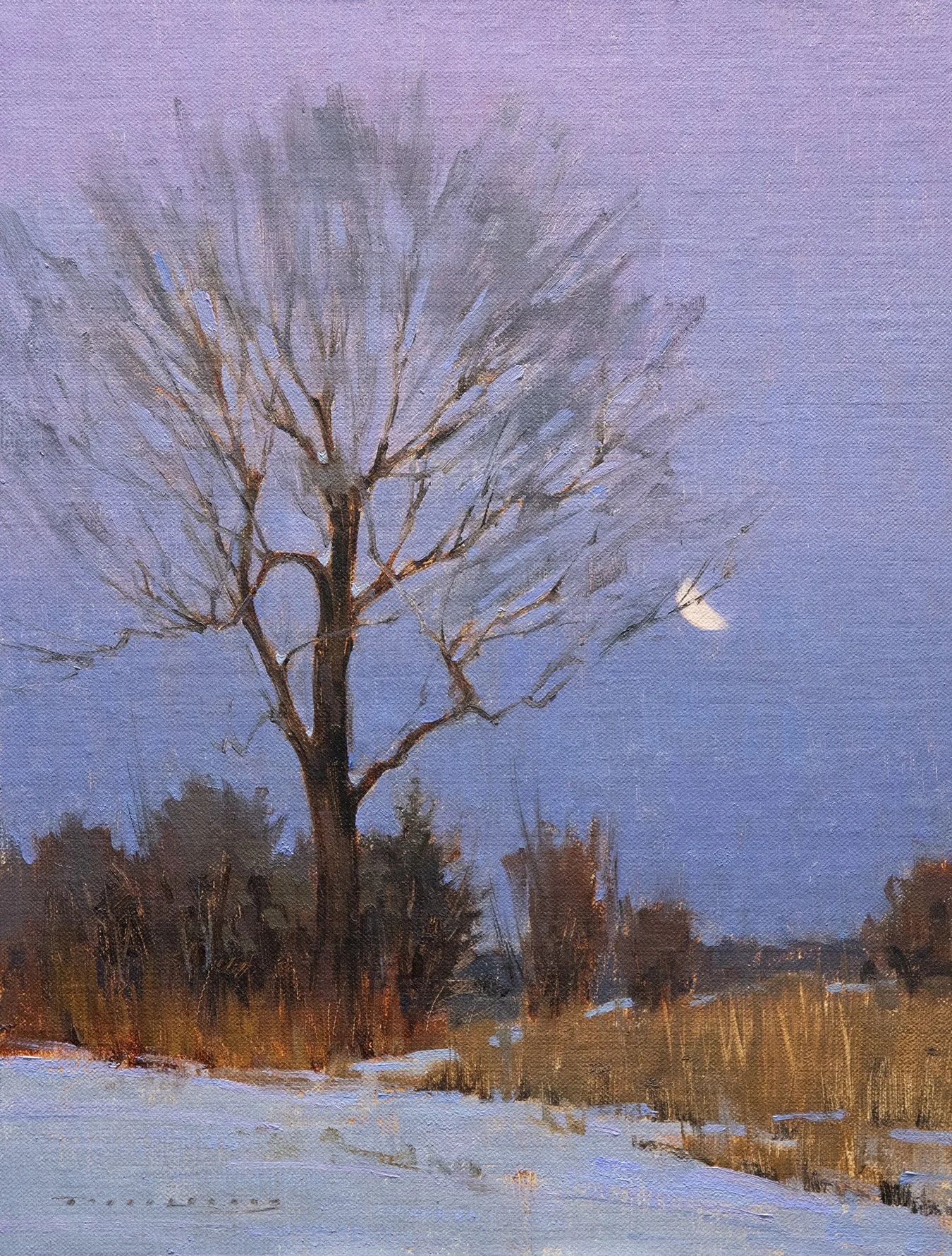Snow StudySmall.jpg