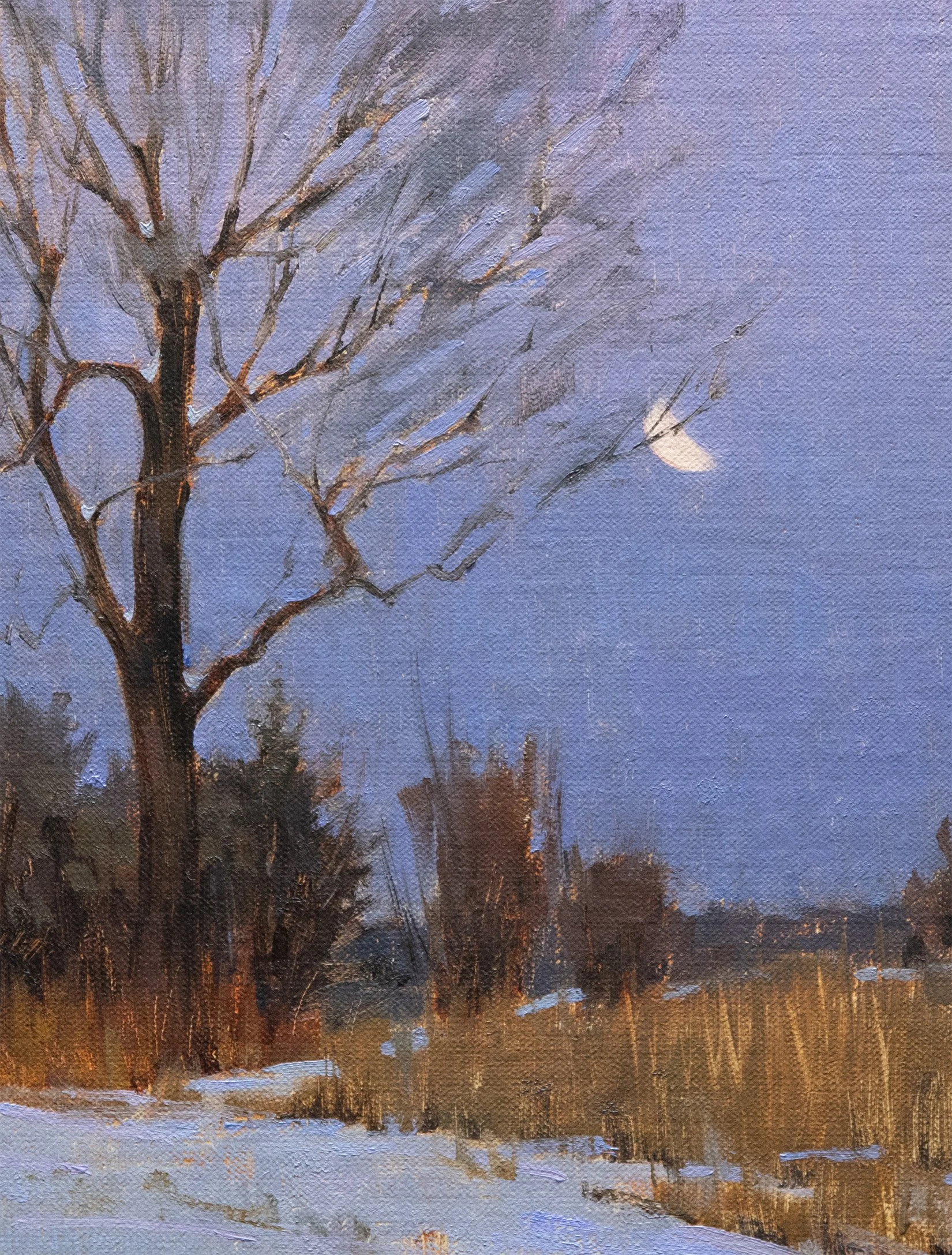 Snow StudyDetail.jpg