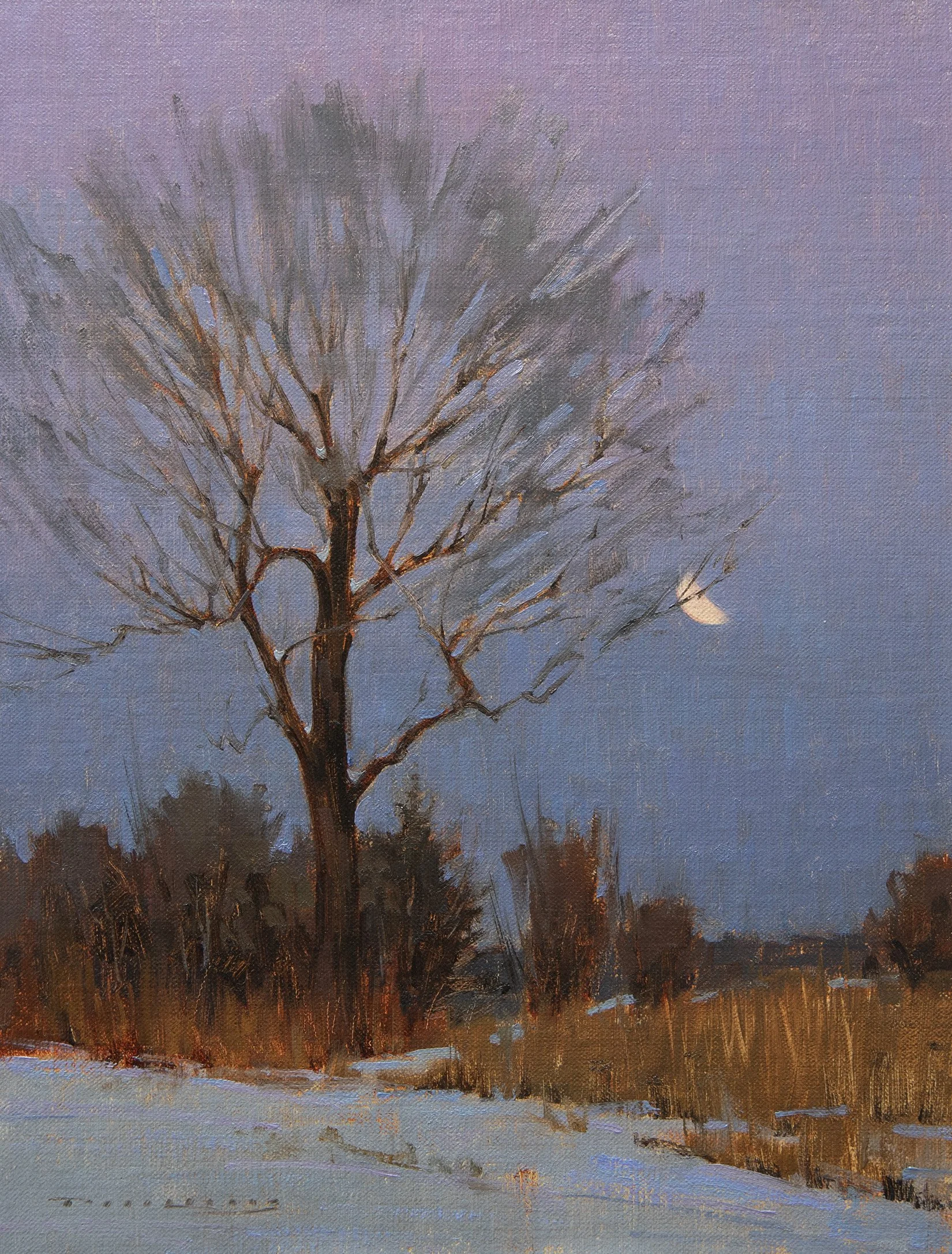 Snow StudySmall.jpg
