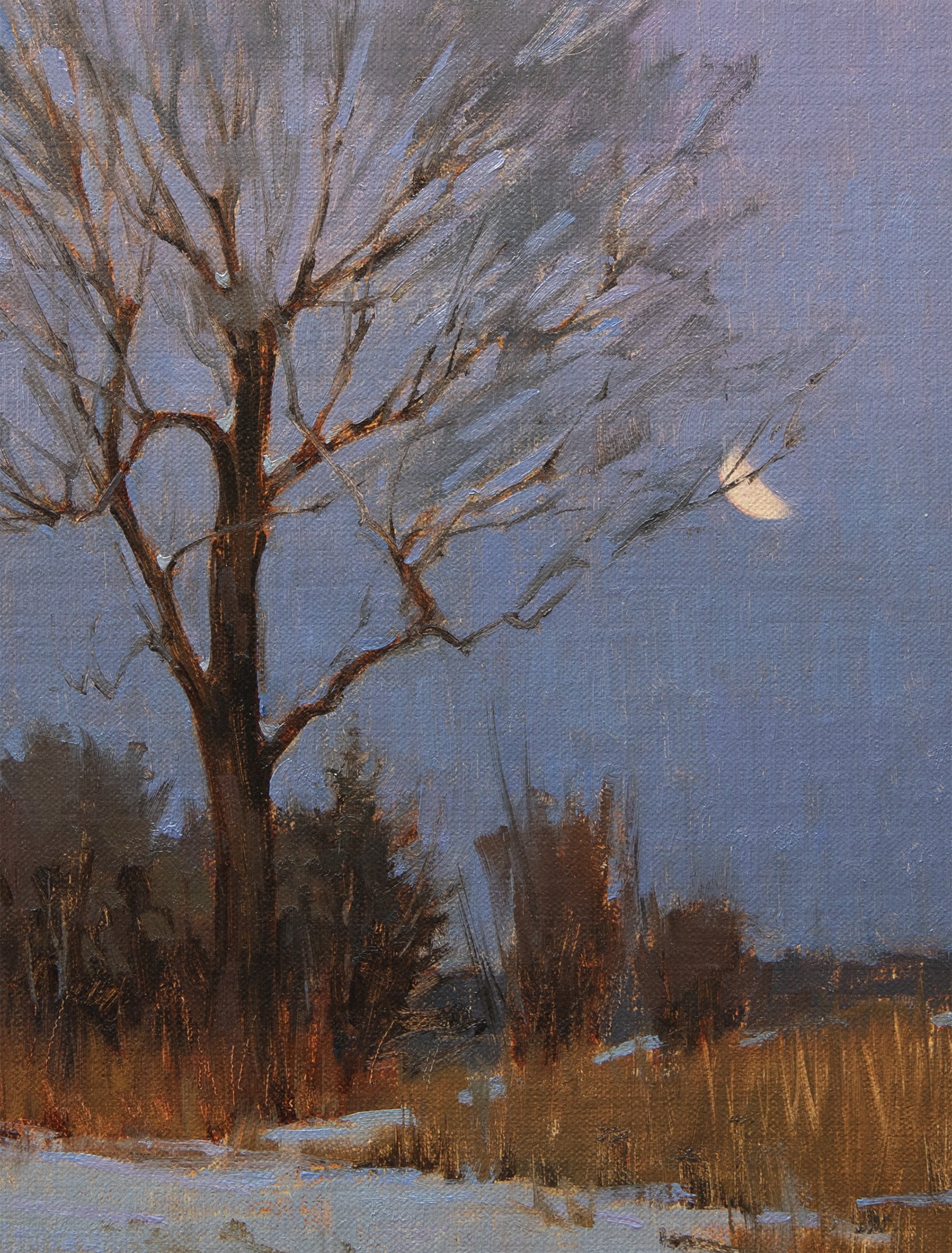 Snow StudyDetail.jpg