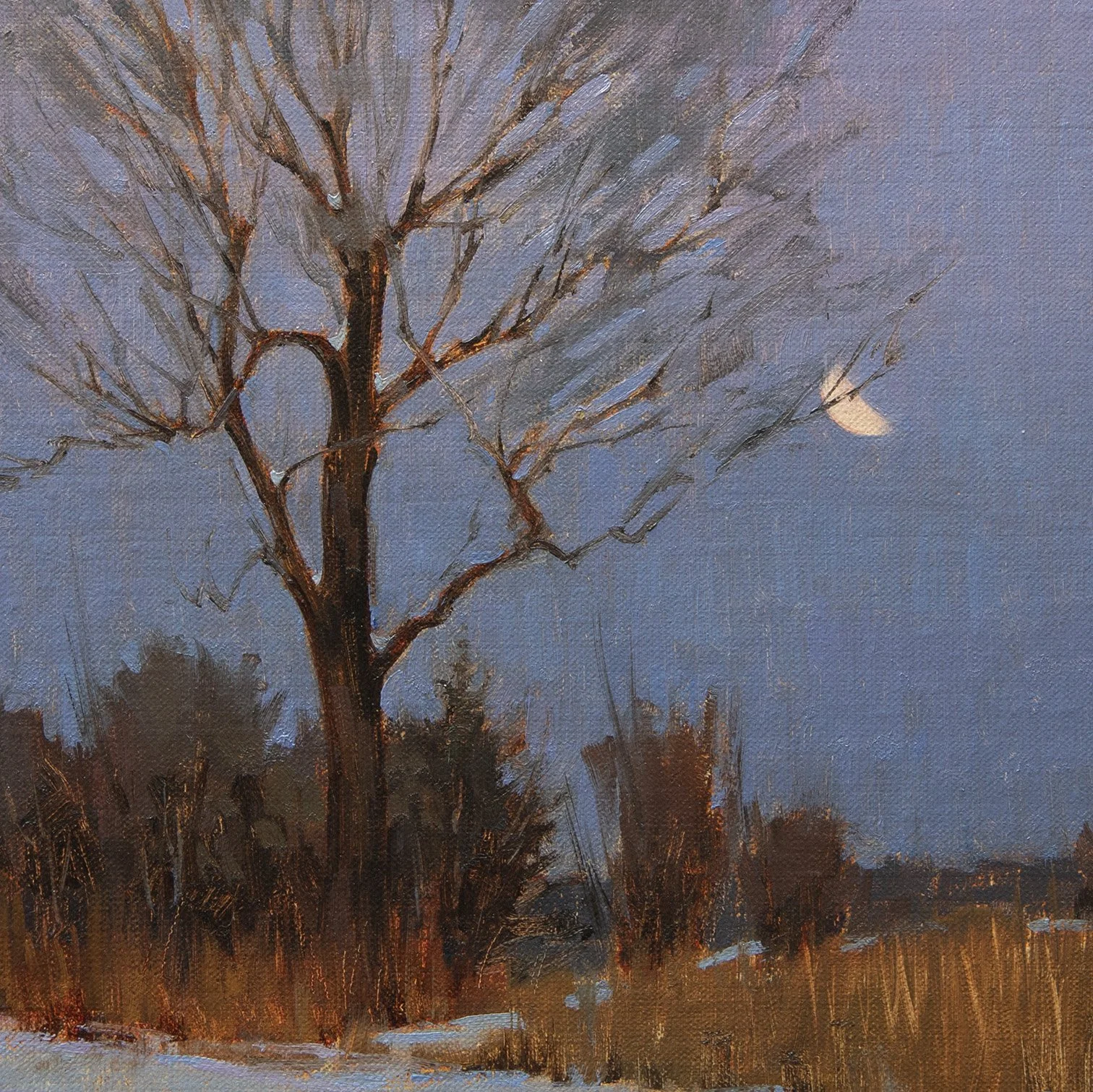 Snow StudyThumb.jpg