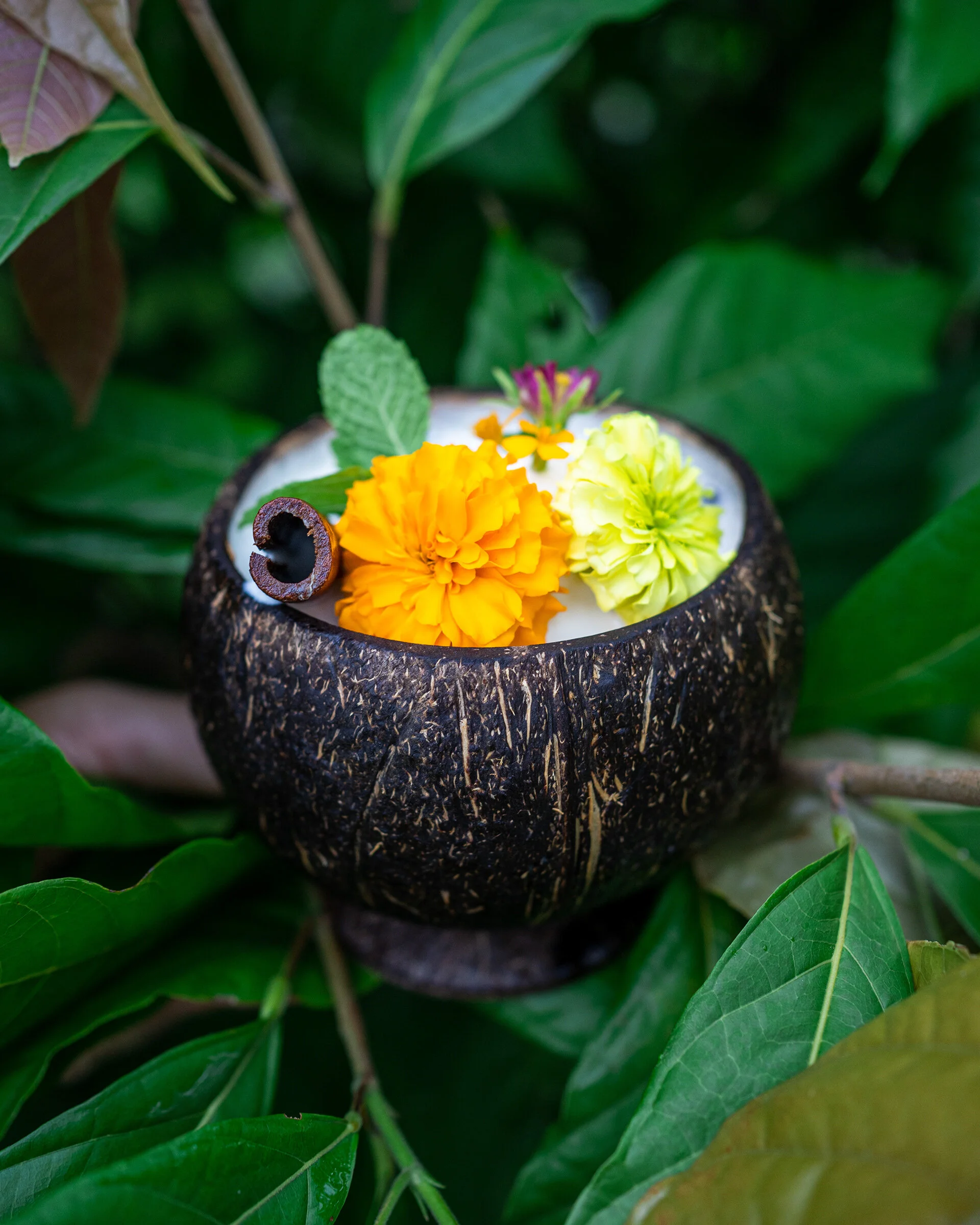 Mayaro Sundae.jpg