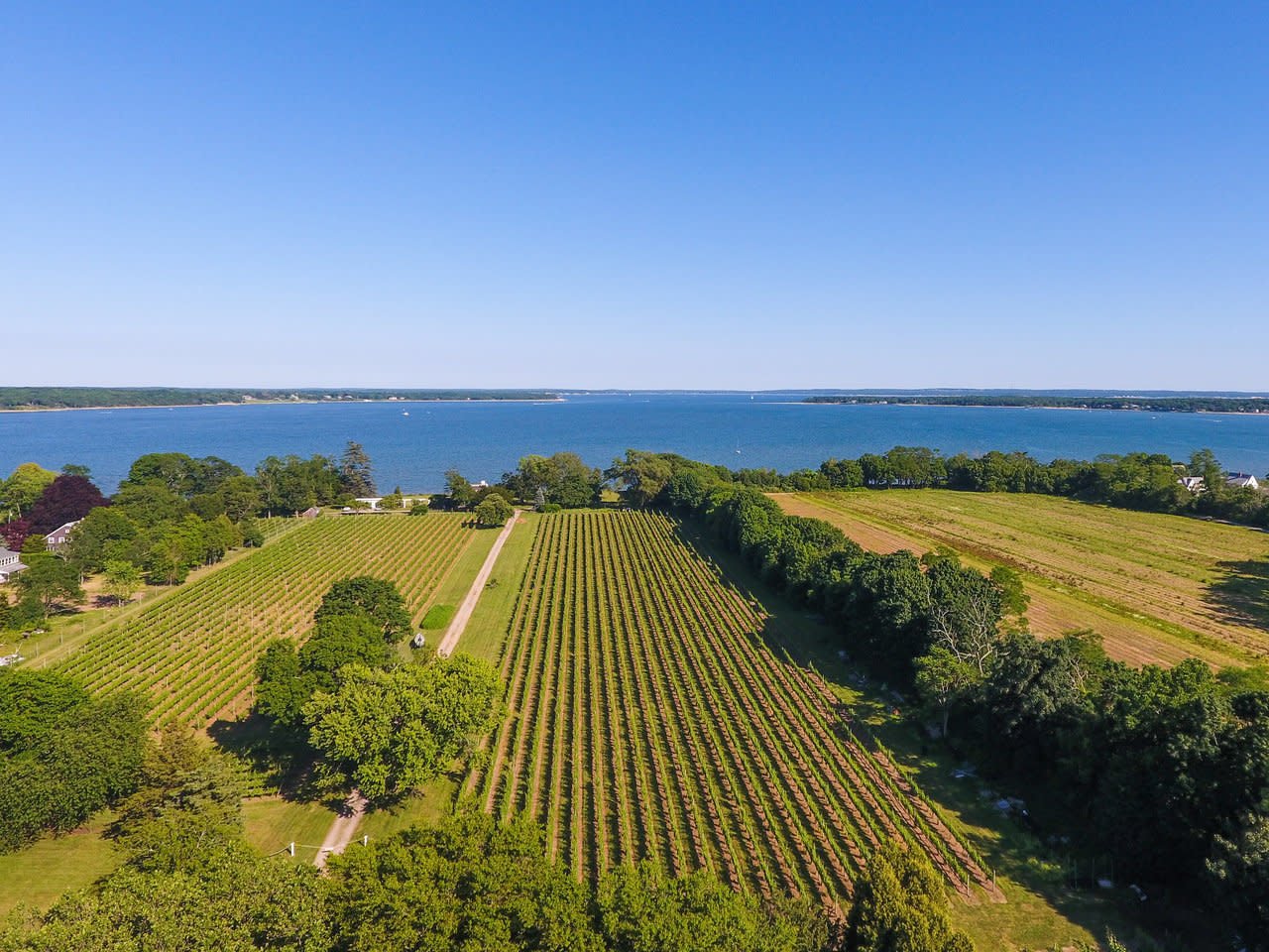 long_island_winery20_e19d7f8a-0e18-e4a3-1814c25580135080.jpg