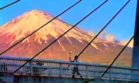 Georgia Coffee Hands