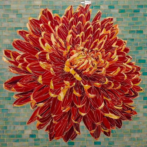 Chrysanthemum