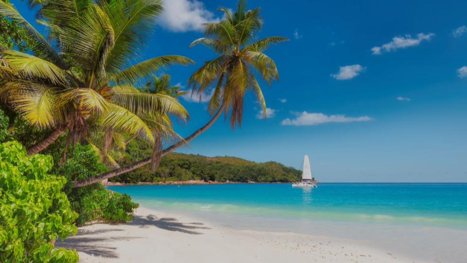 White Fedora (2).png