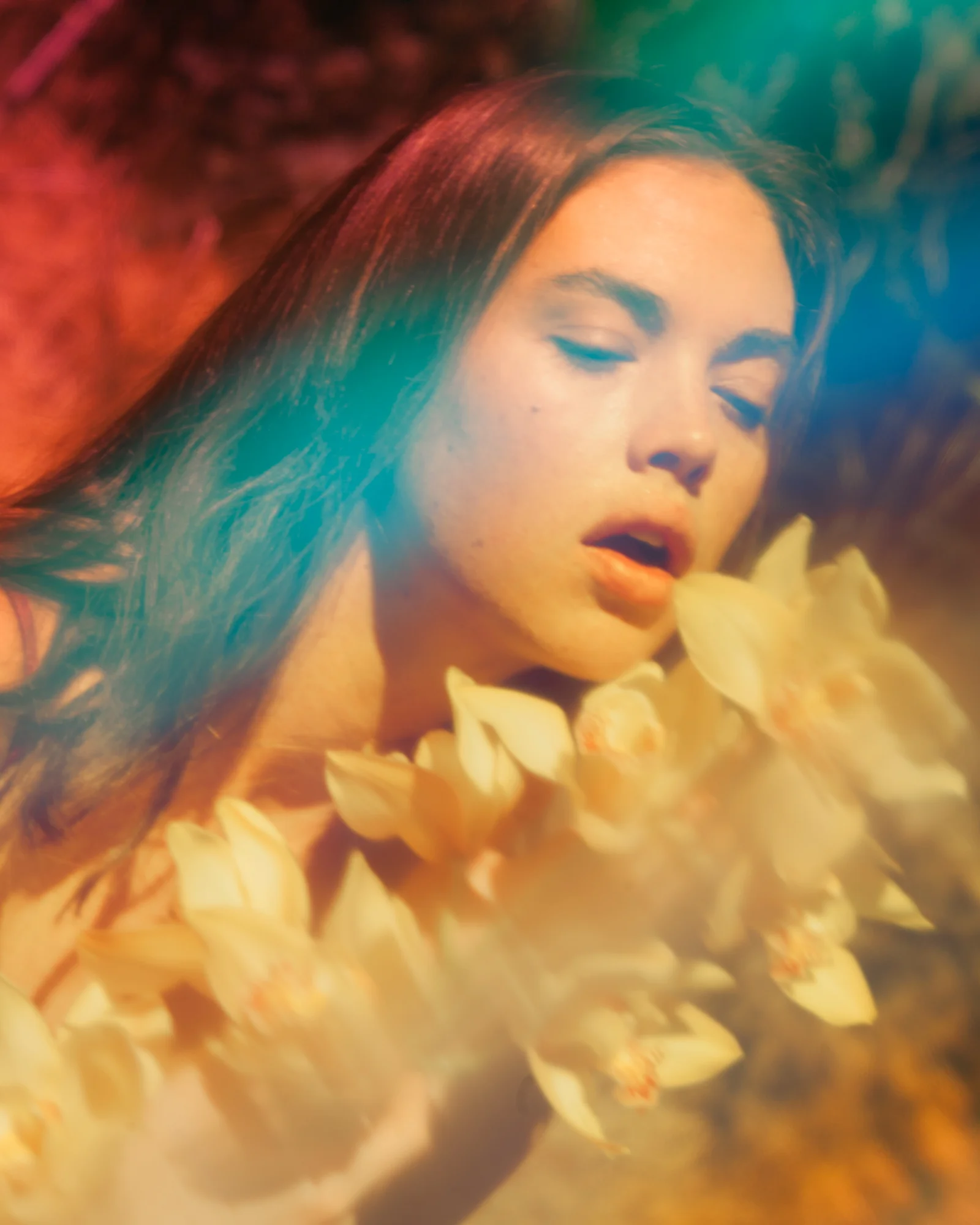 FlowerPortrait_8353.jpg