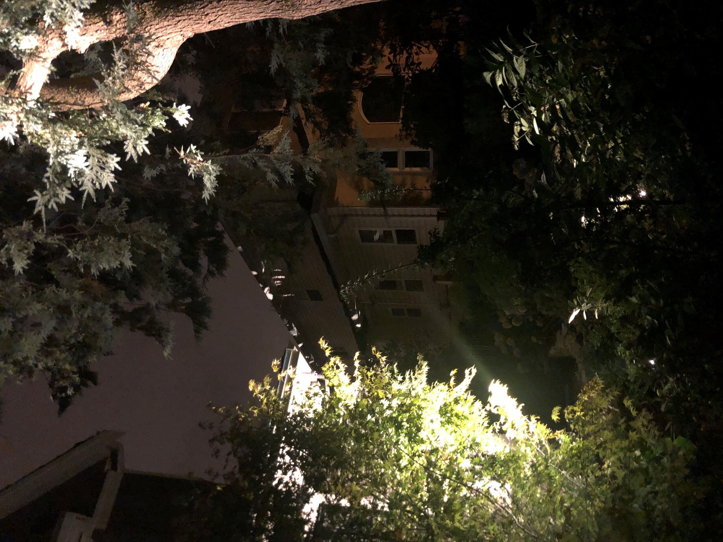 light 4.jpg
