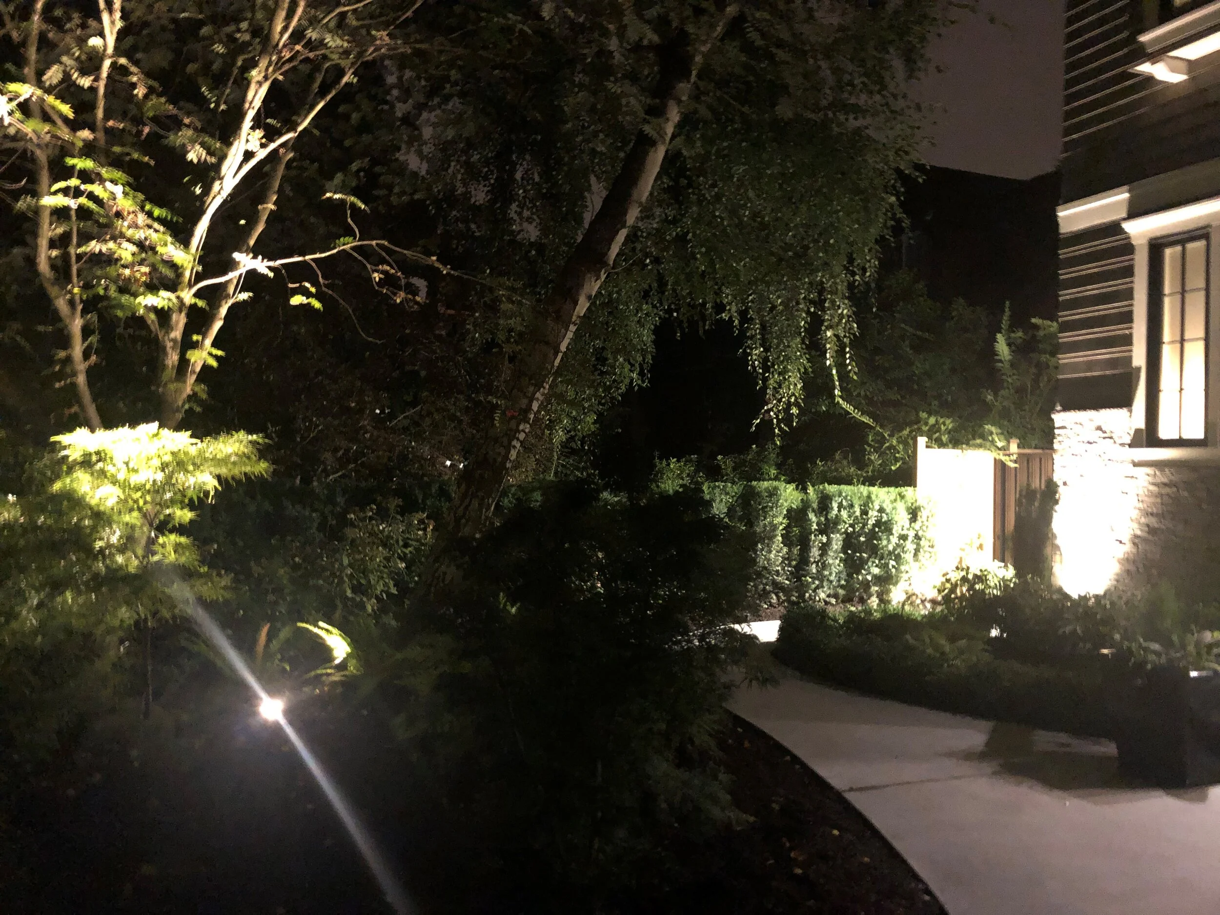 light1.jpg