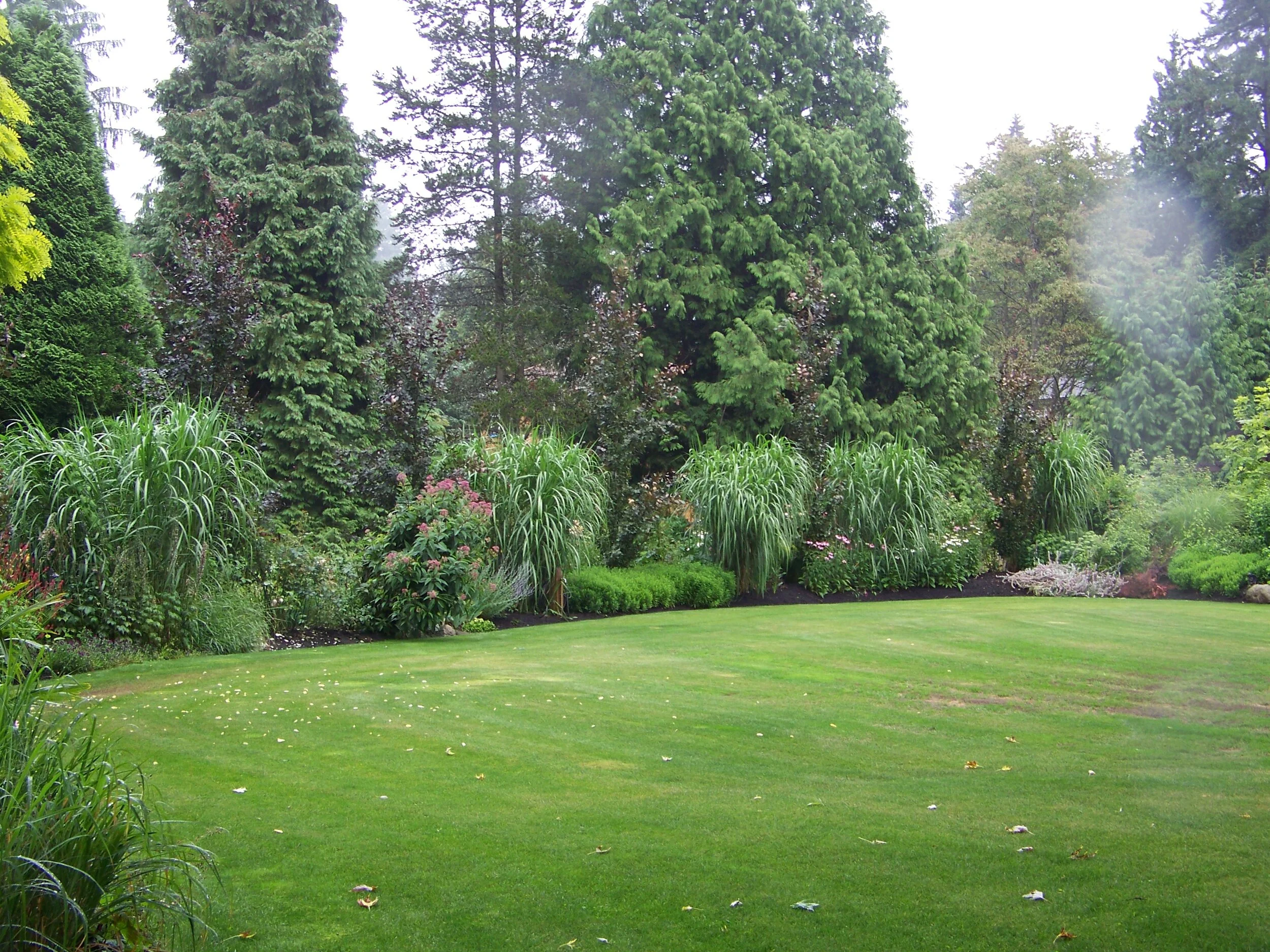 100_0635.JPG.JPG