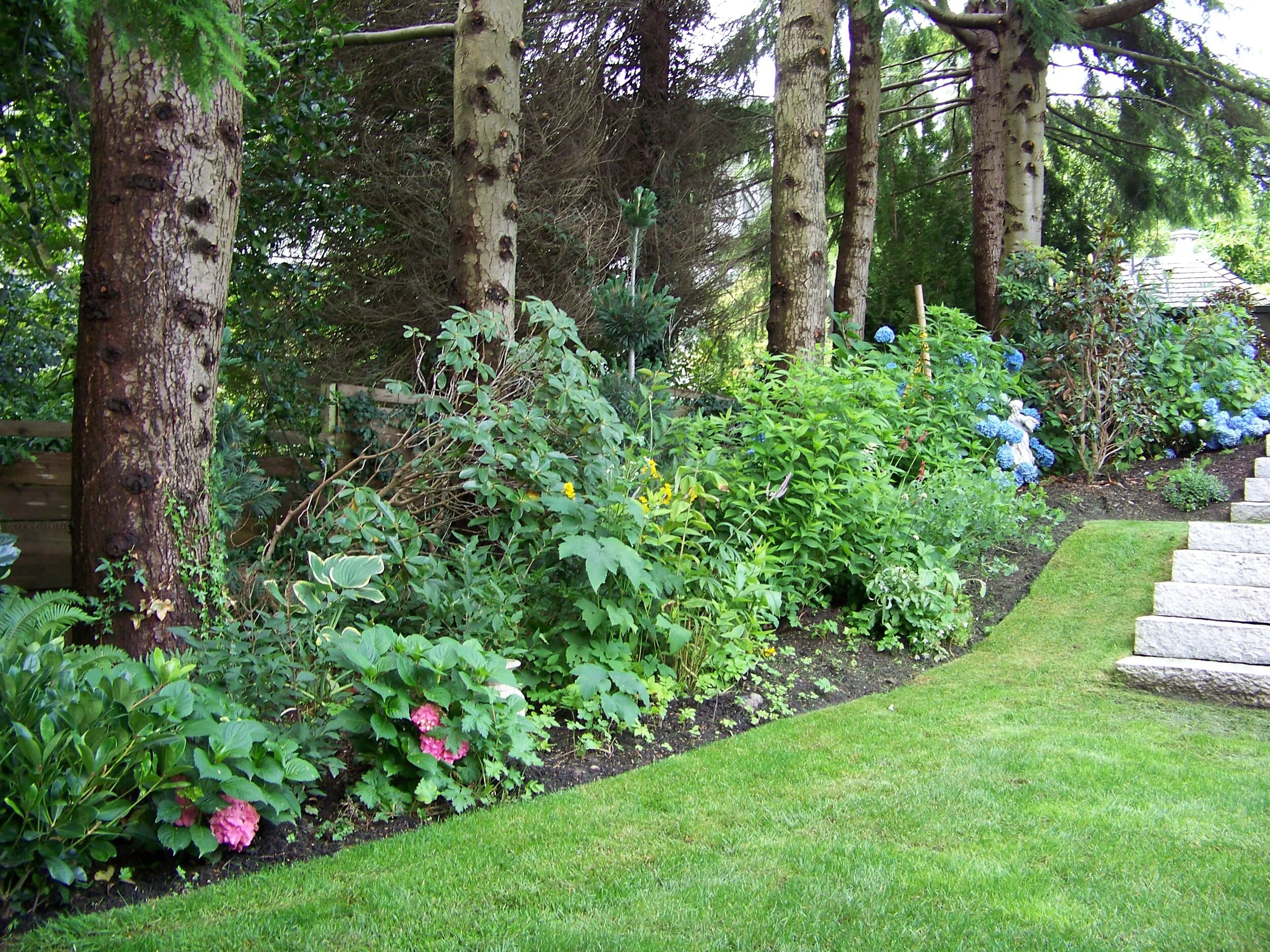 100_0671.JPG.JPG