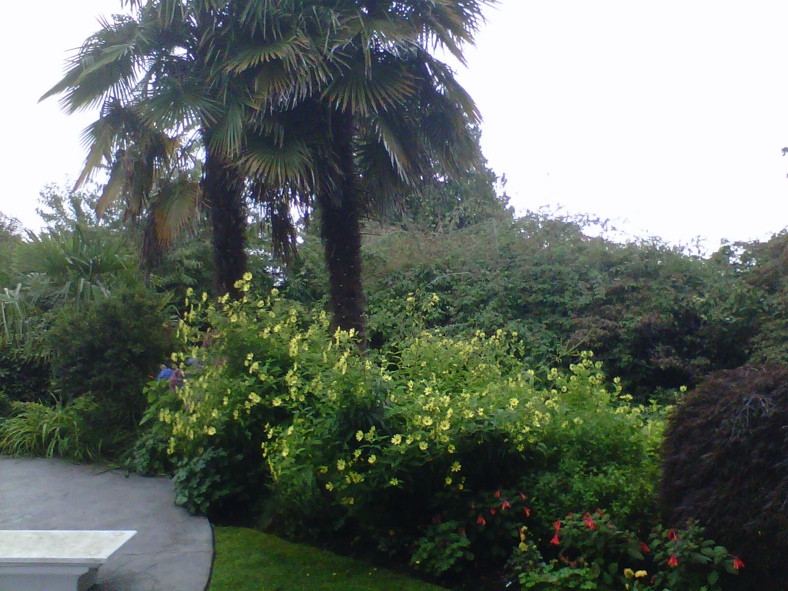 Vancouver-20120921-00168.jpg