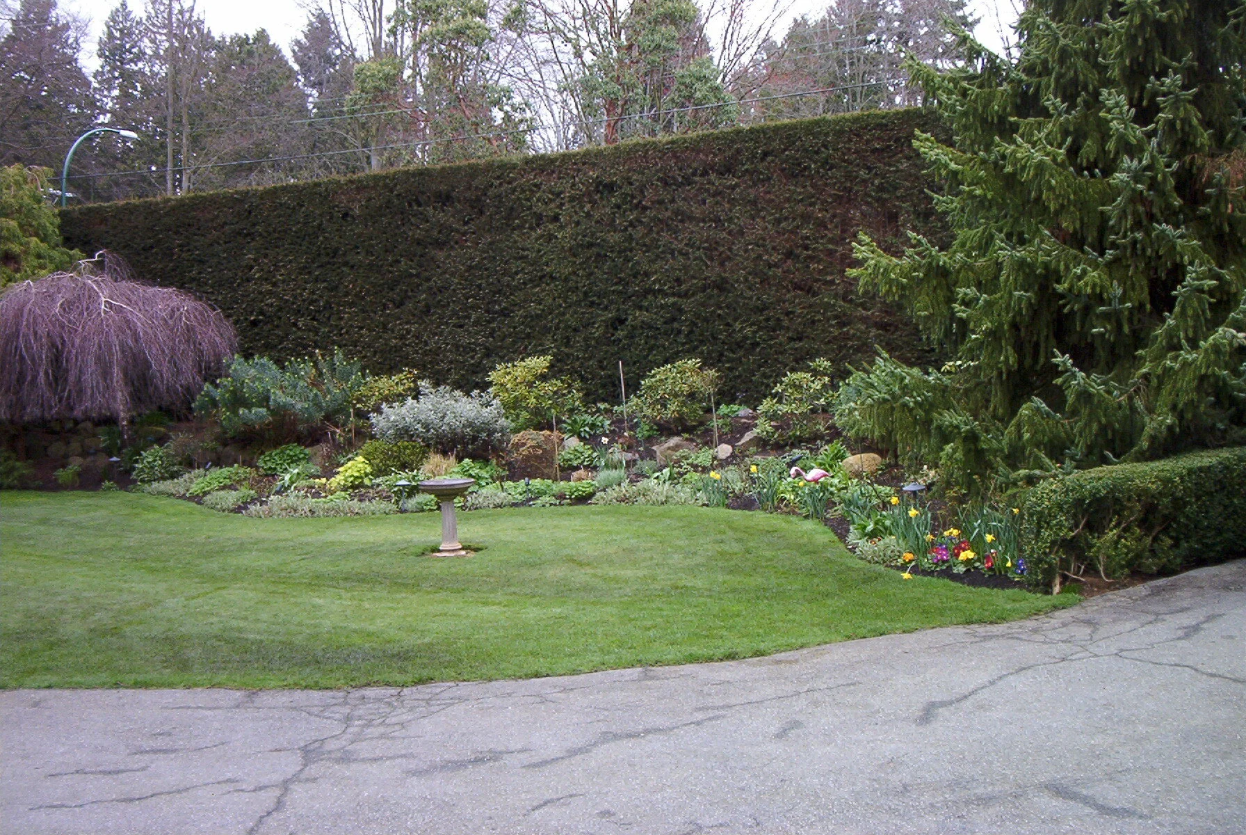 IM001030.jpg