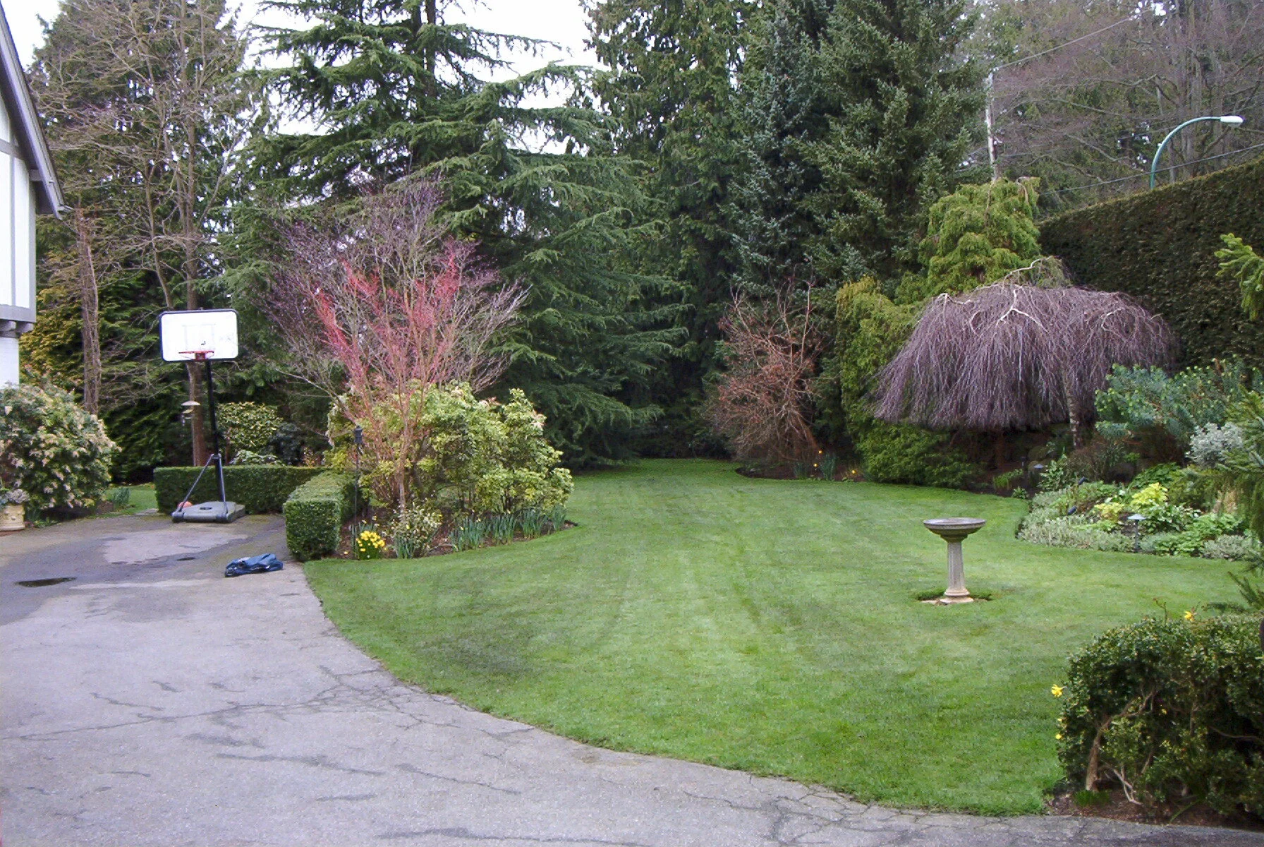 IM001031.jpg