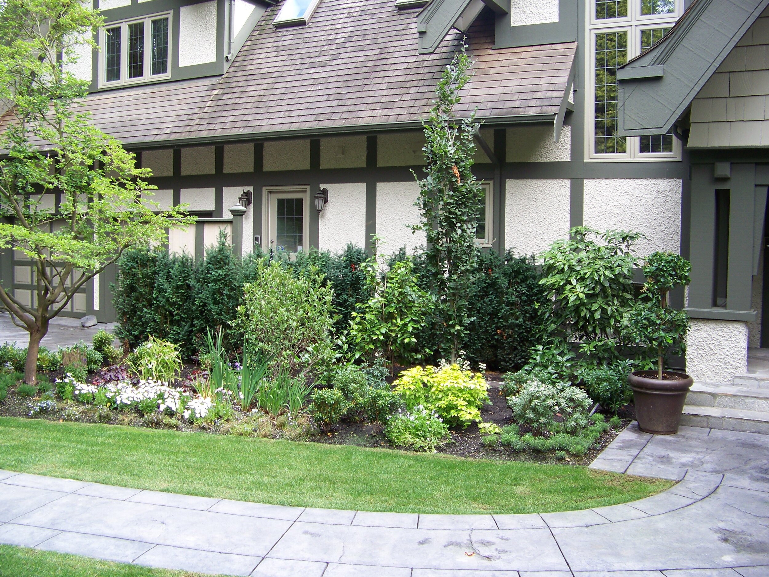 100_0660.JPG.JPG