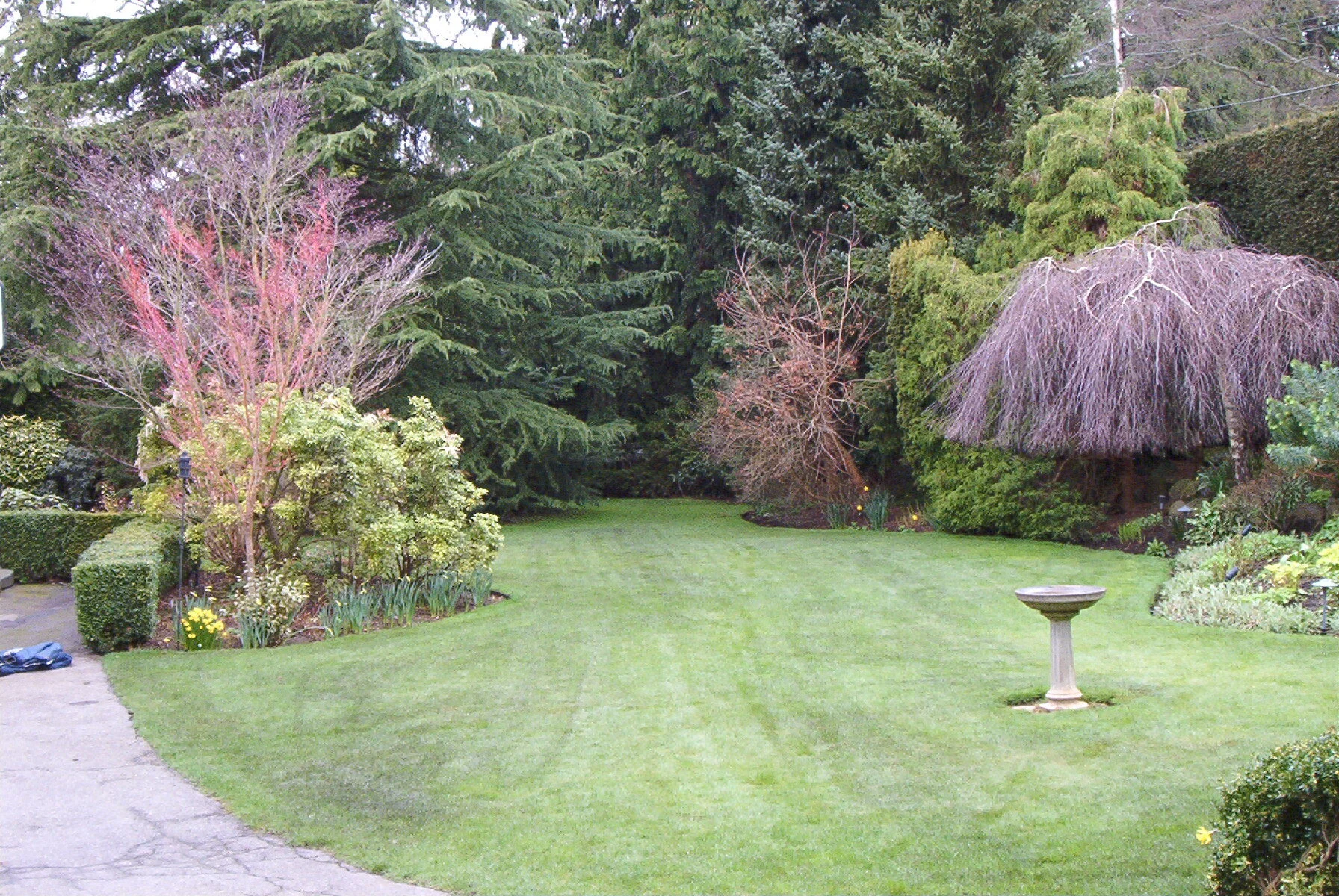 IM001032.jpg