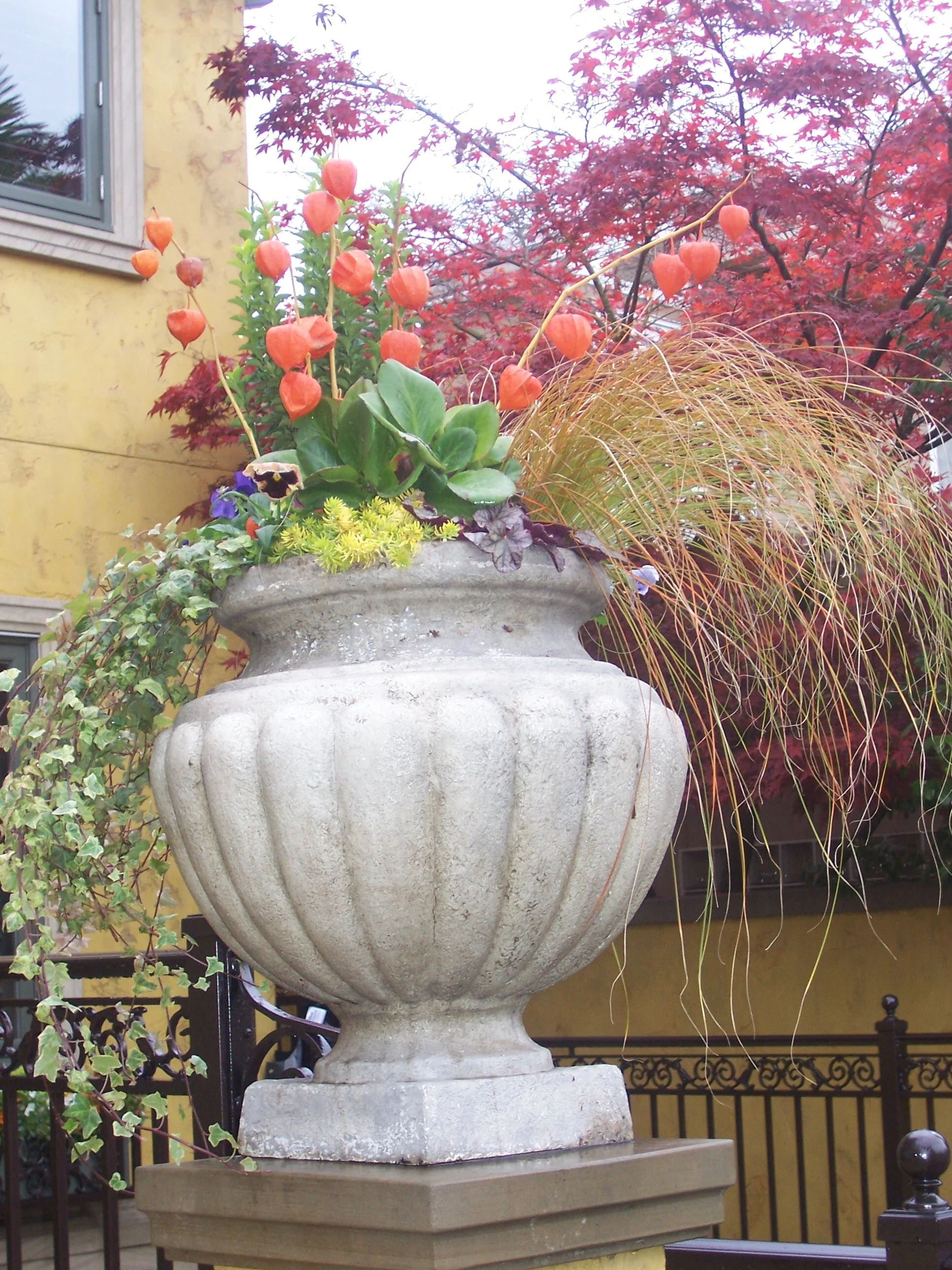100_3949.JPG