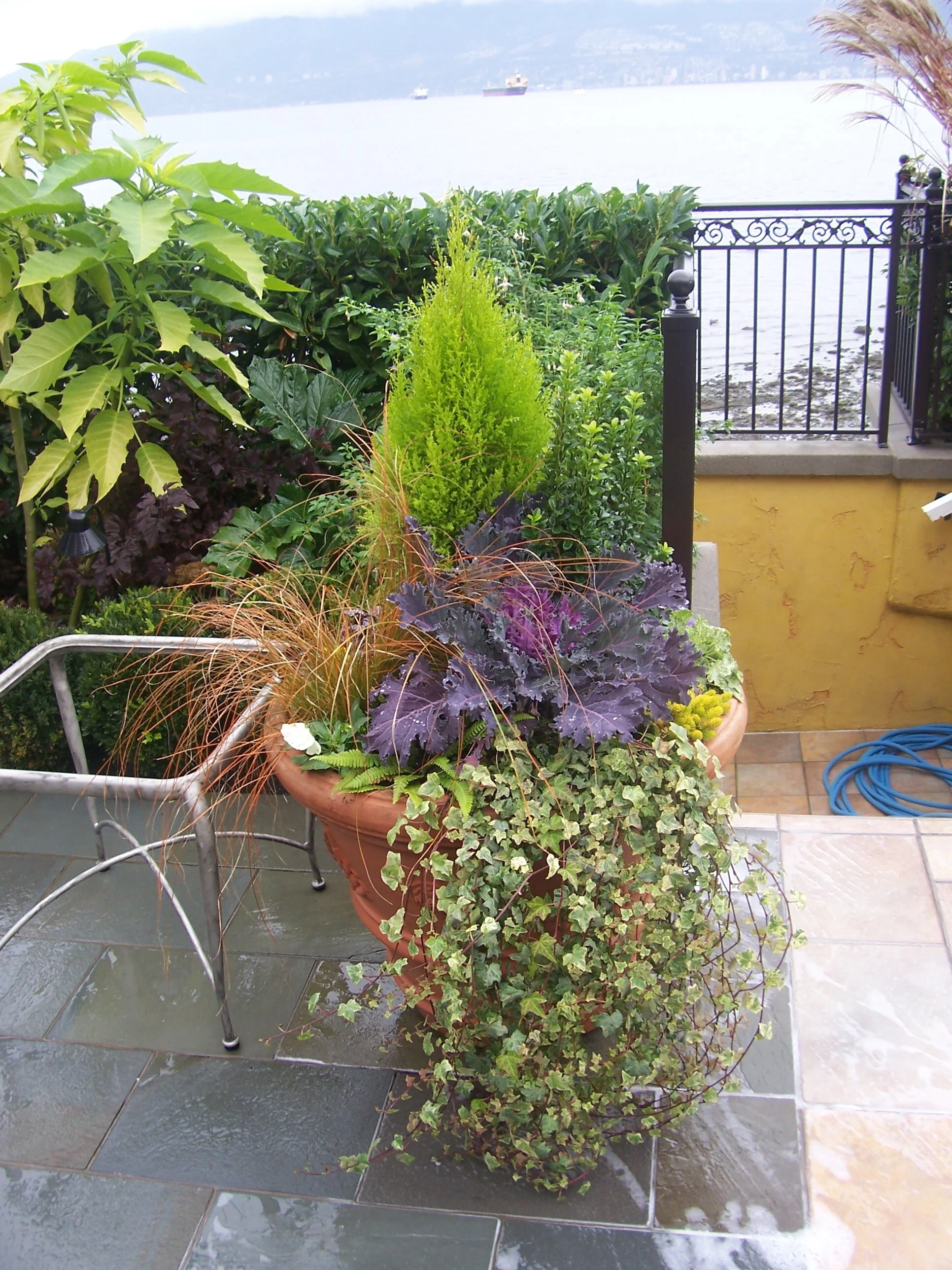 100_3951.JPG