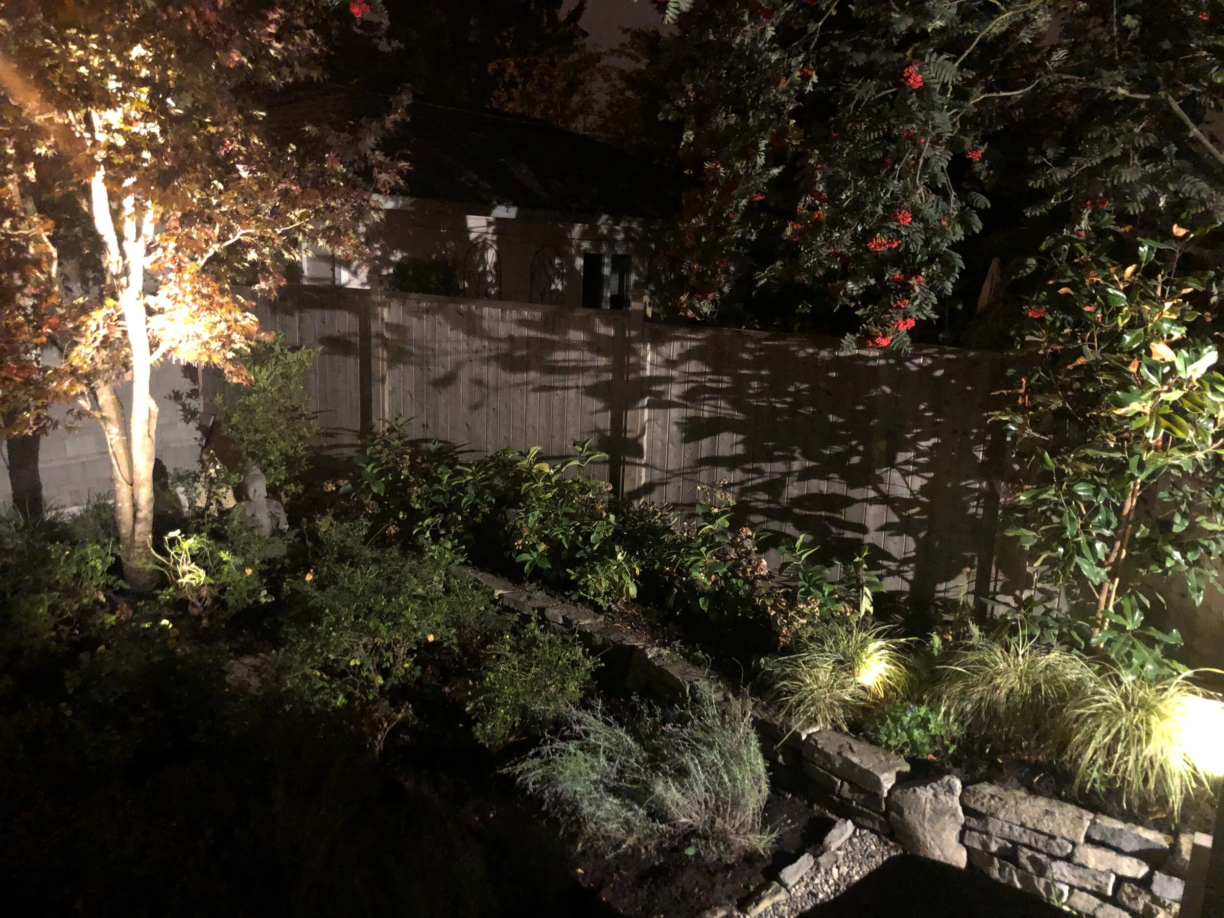 light.jpg