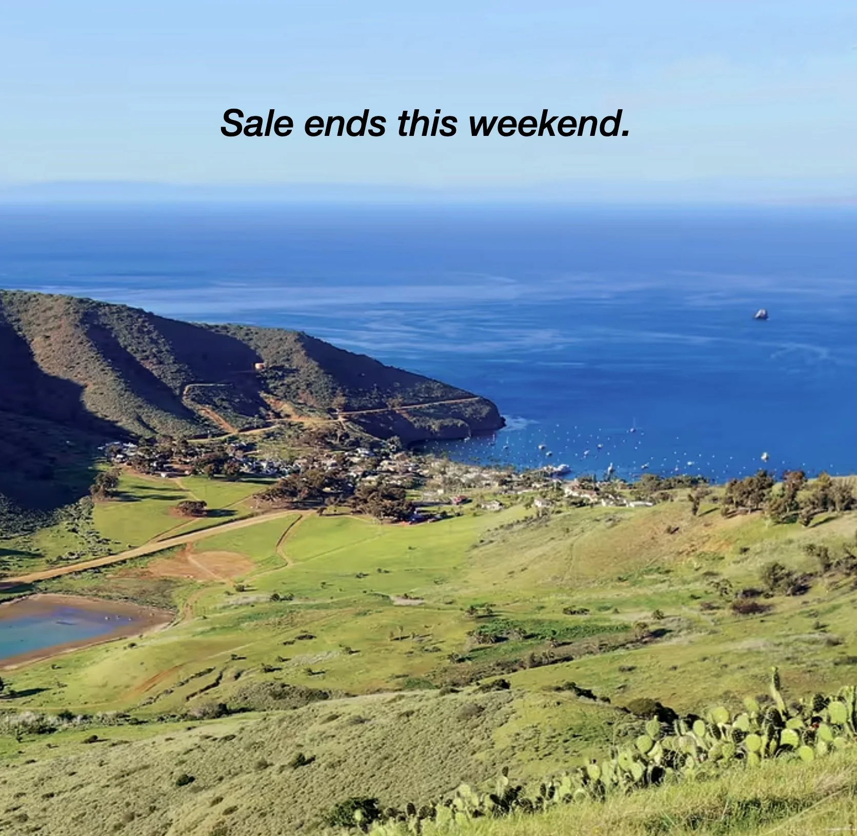Sale Ends Web.jpg