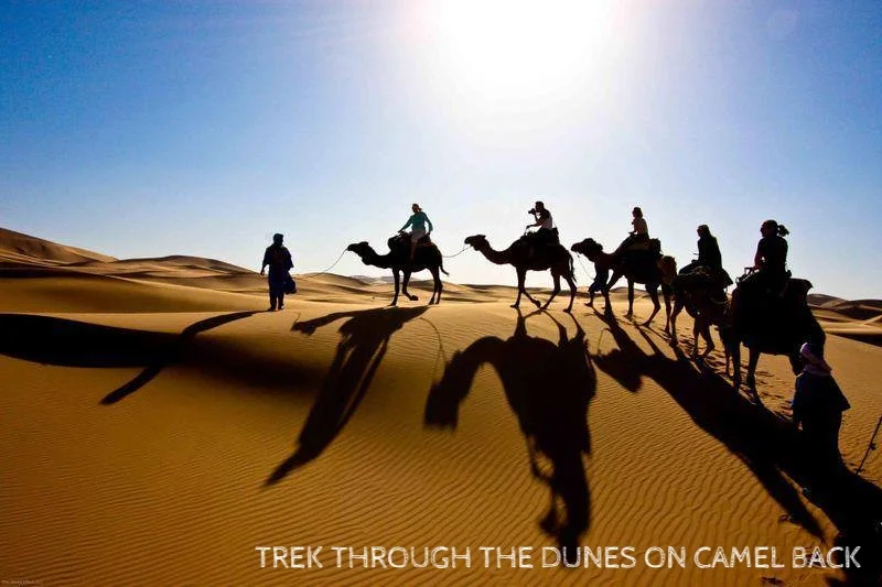 desert-maroc-camel-trek.jpg