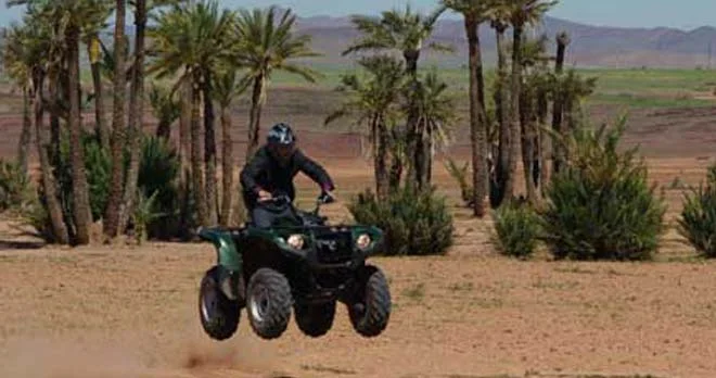 quads1.jpg